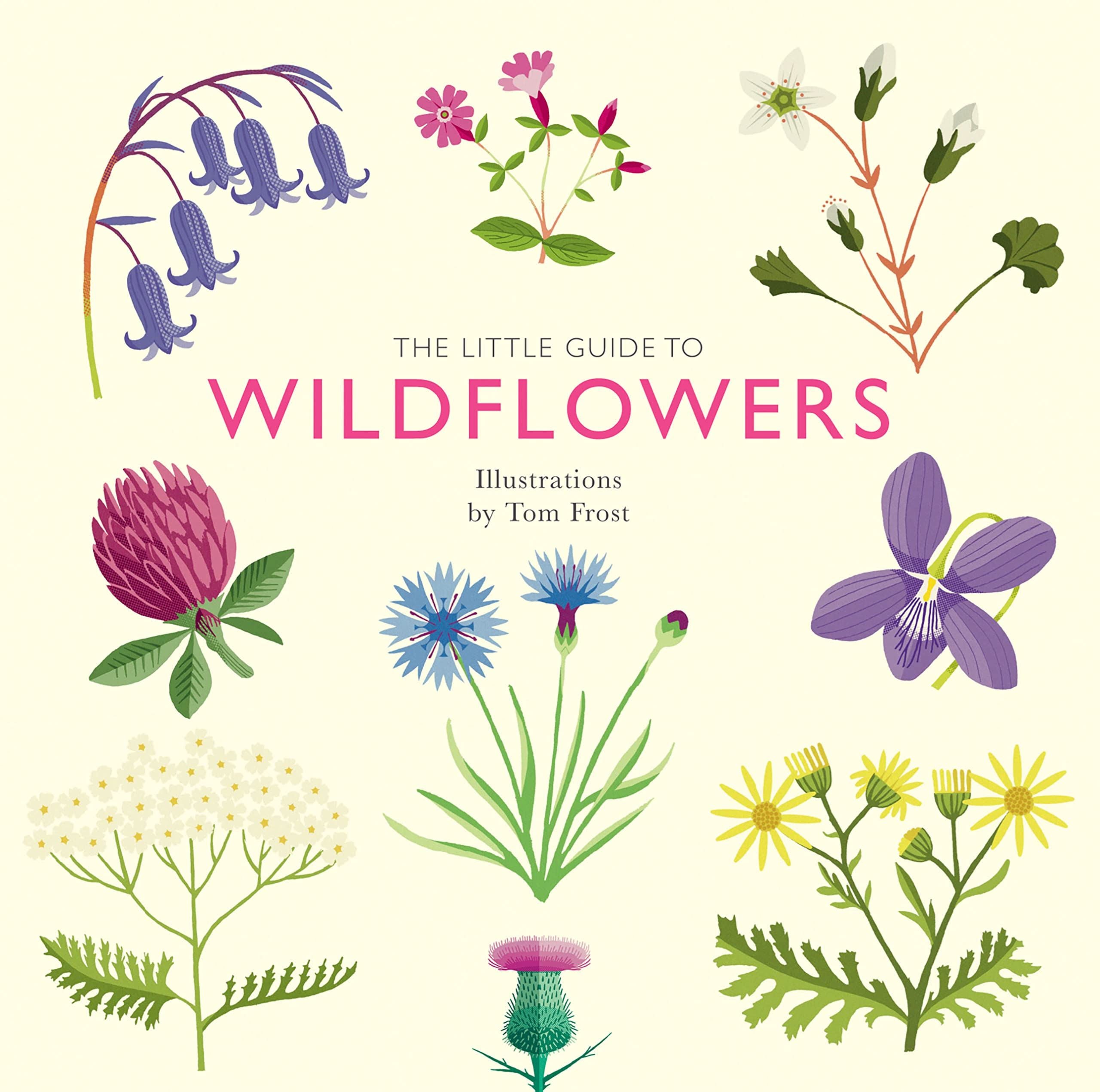 Little Guide To Wildflowers