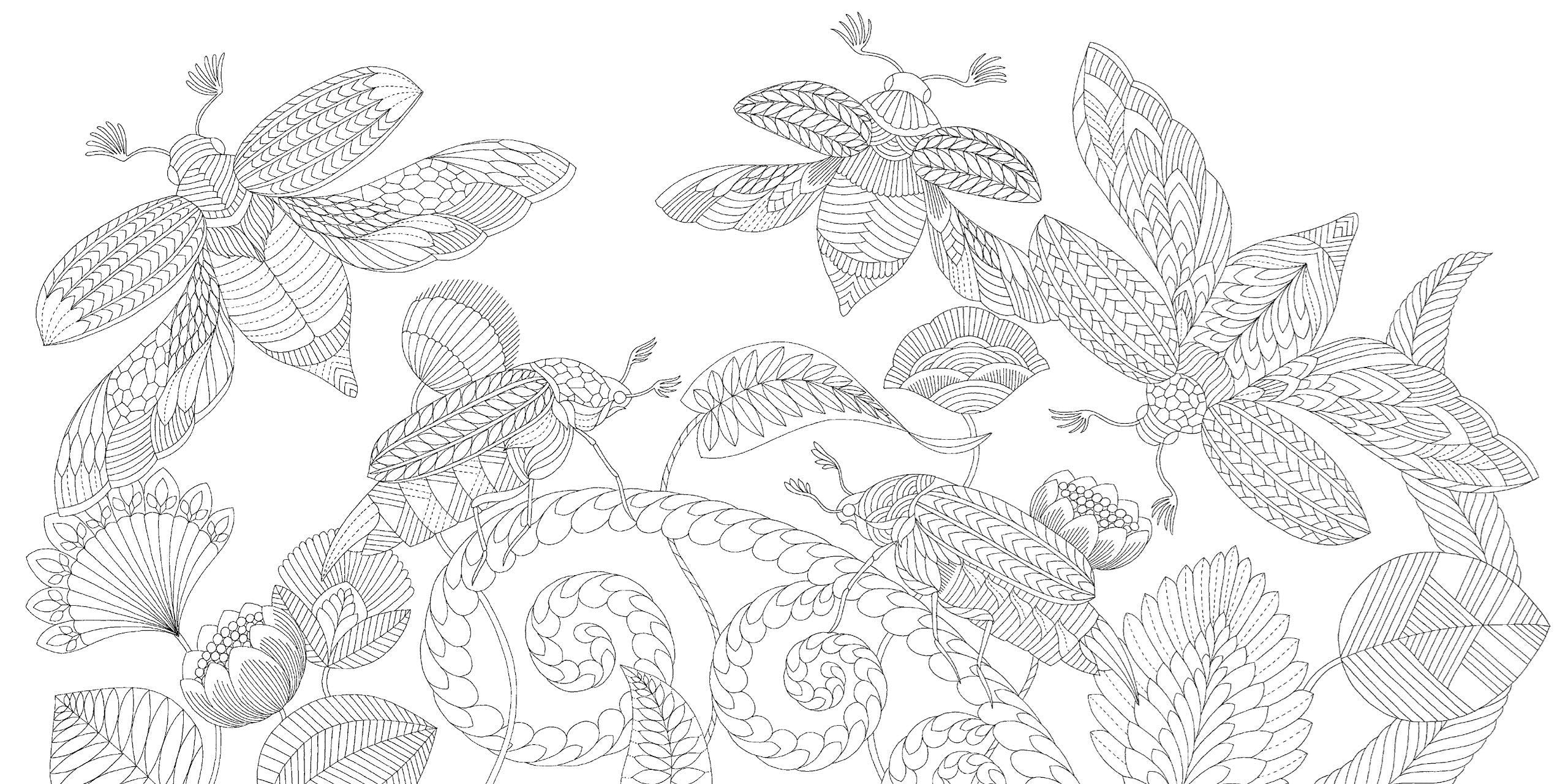 Millie Marotta's Curiouser Creatures Colouring Book