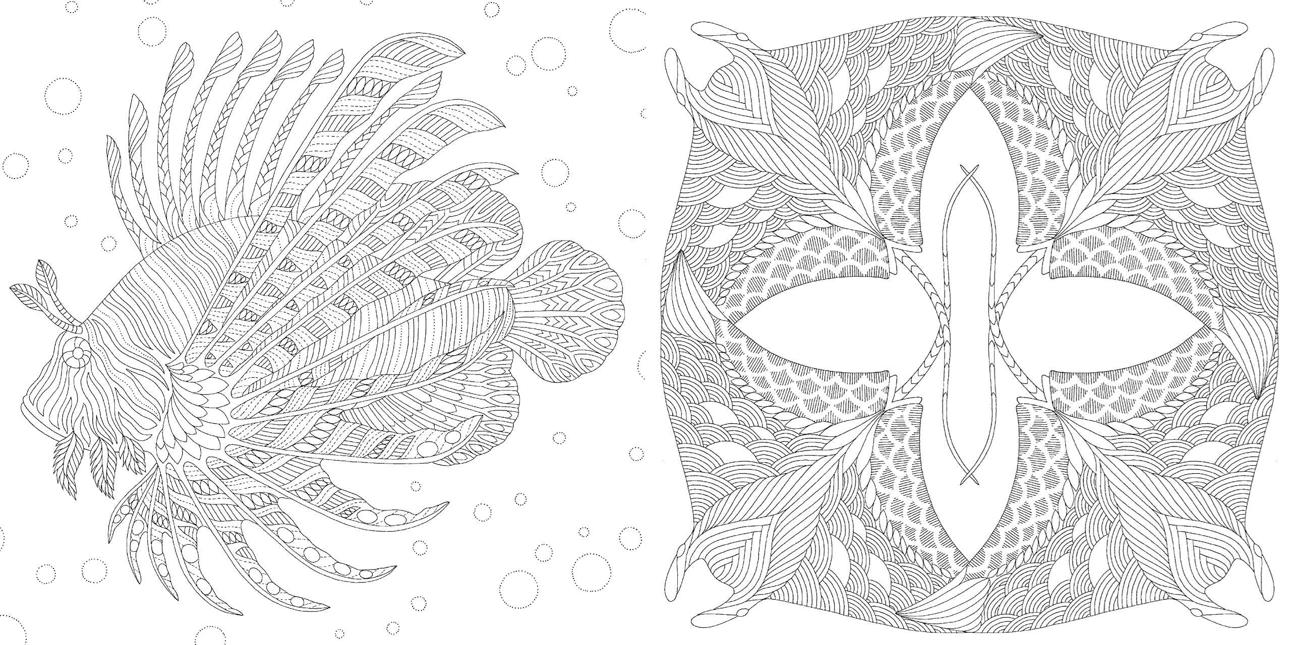 Millie Marotta's Curiouser Creatures Colouring Book