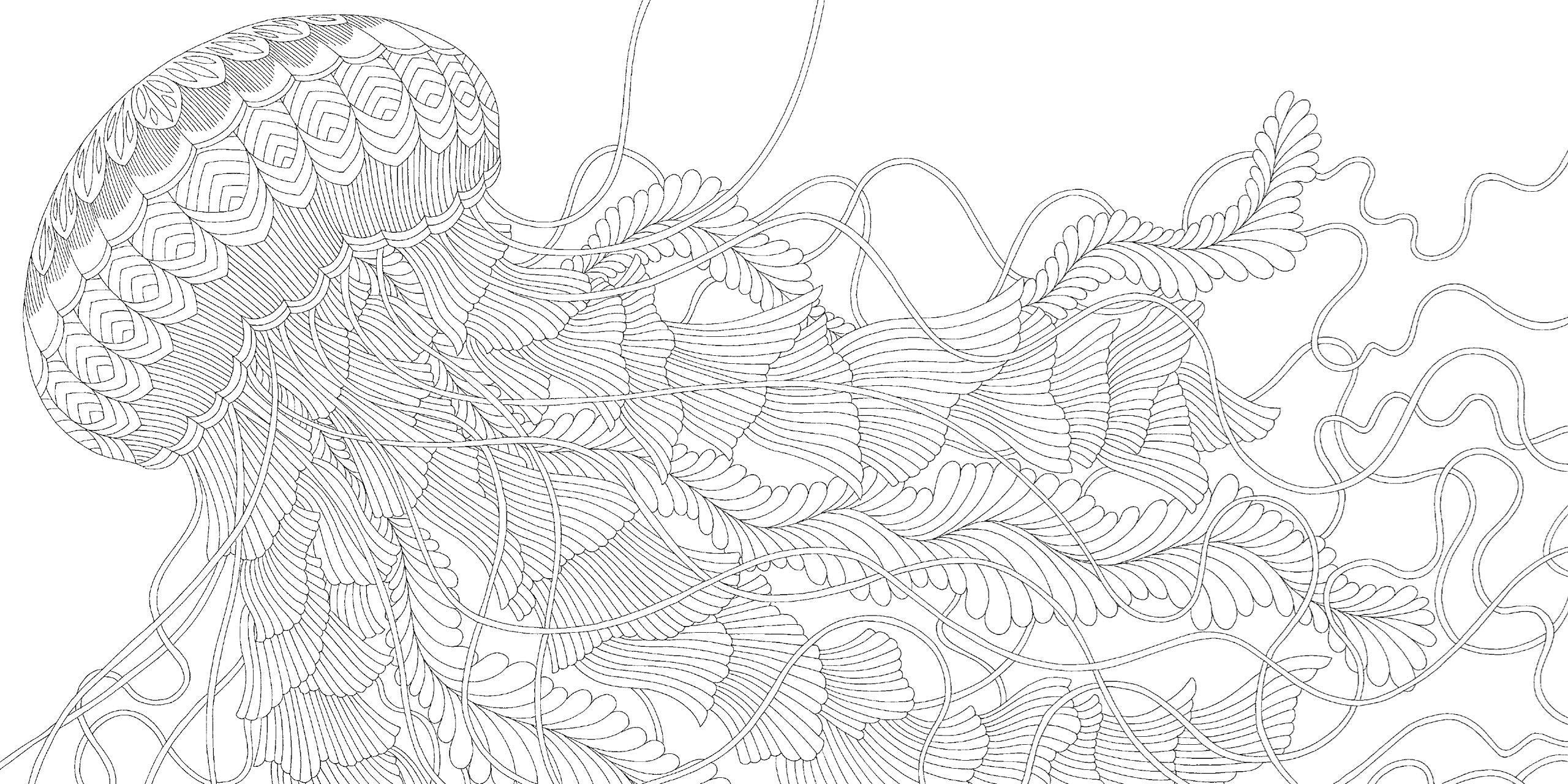 Millie Marotta's Curiouser Creatures Colouring Book