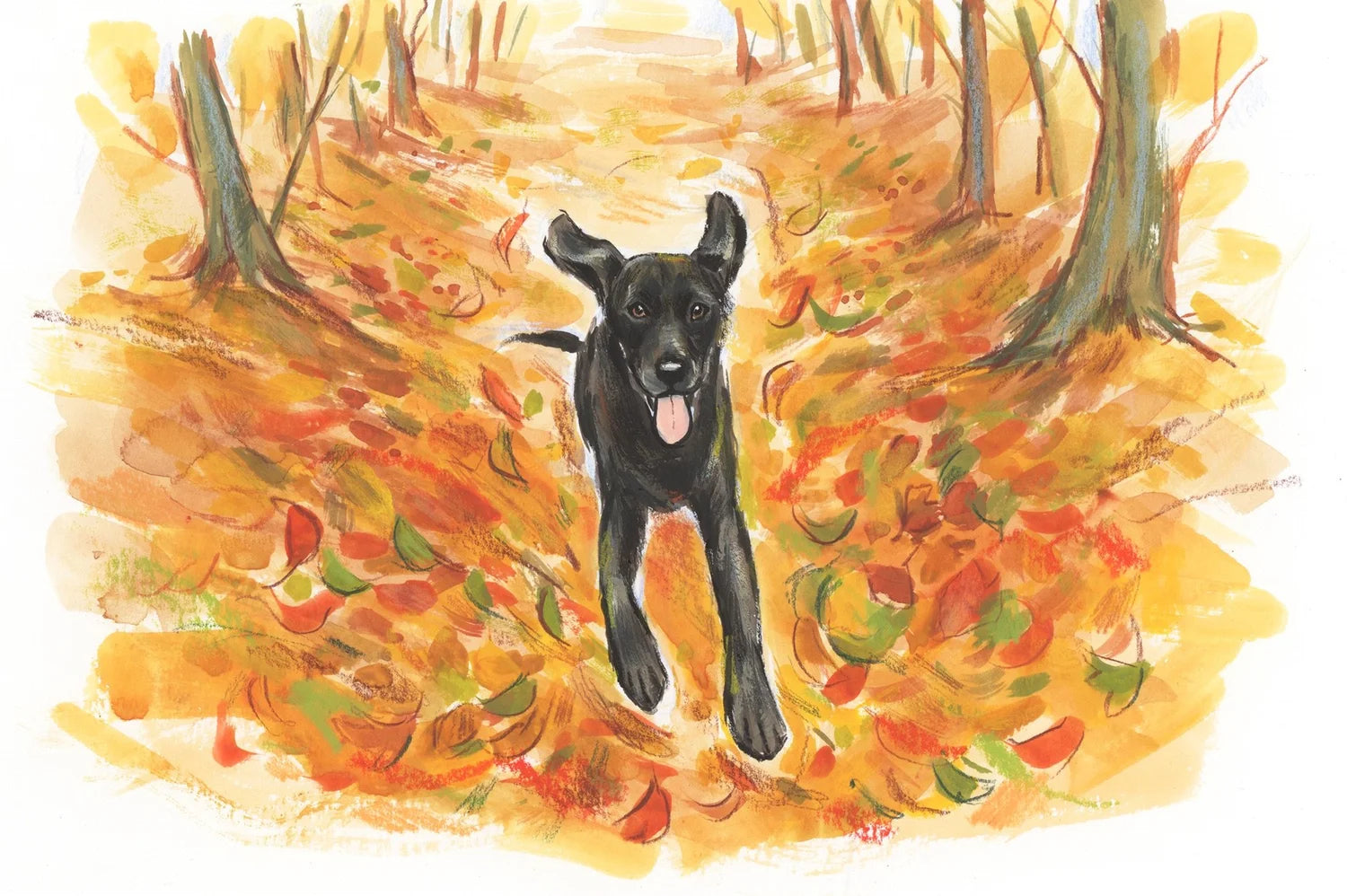 Adventure Dogs 2026 Calendar