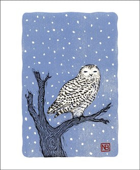 Snowy Owl Blank Card