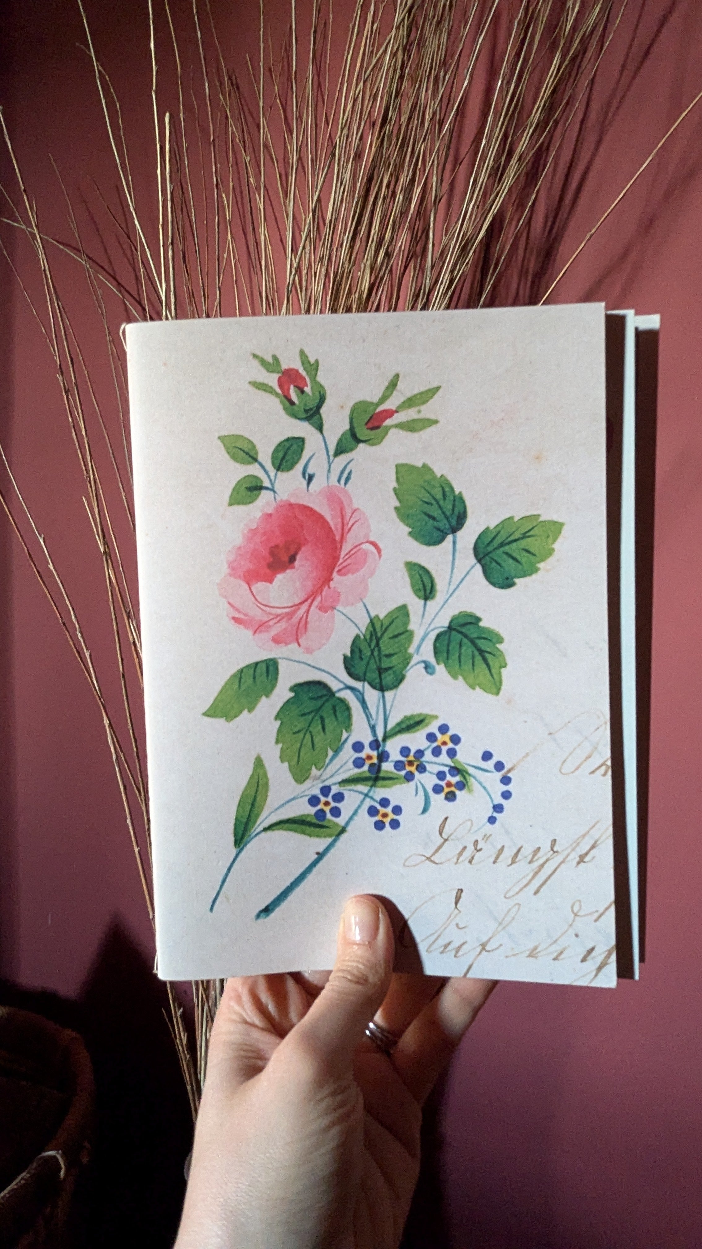 John Derian - In The Garden Notebooks