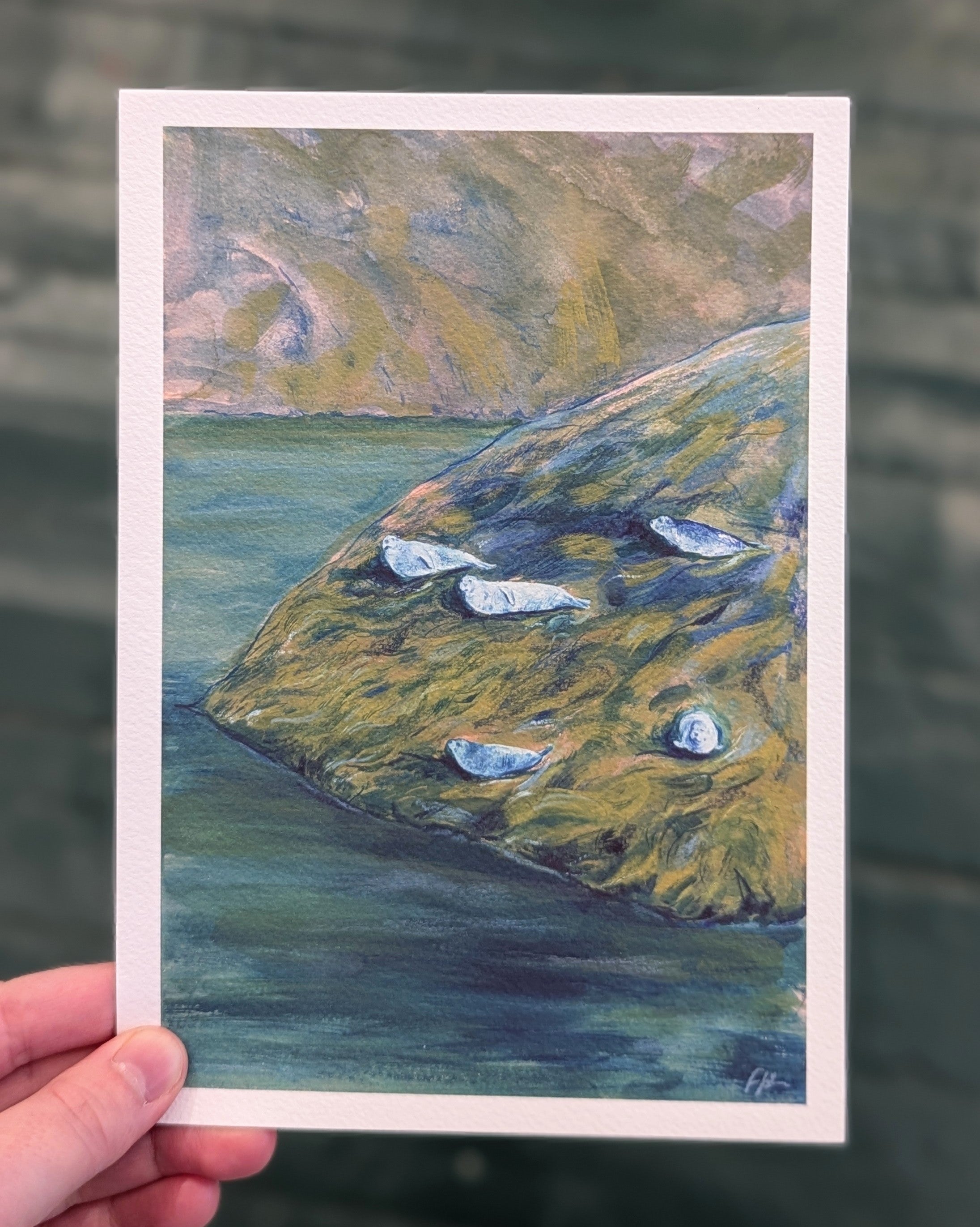 A5 Skye Seal Spotting Art Print
