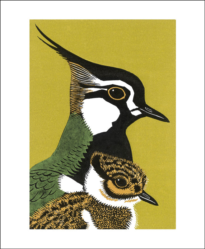 Robert Gillmor - Peewit & Son Blank Card