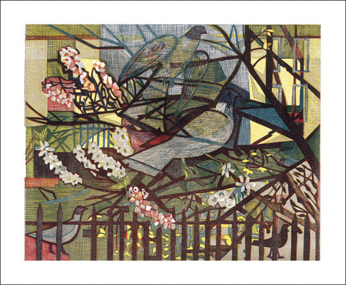 Pigeons Blank Card
