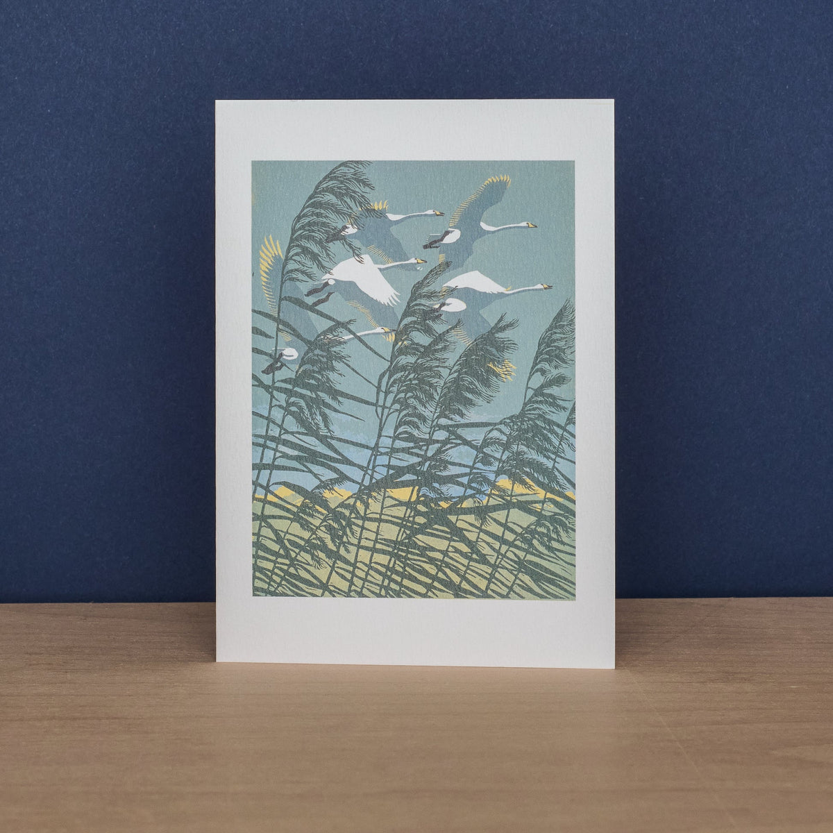 Pack Of 10 Bird Notecards & Envelopes