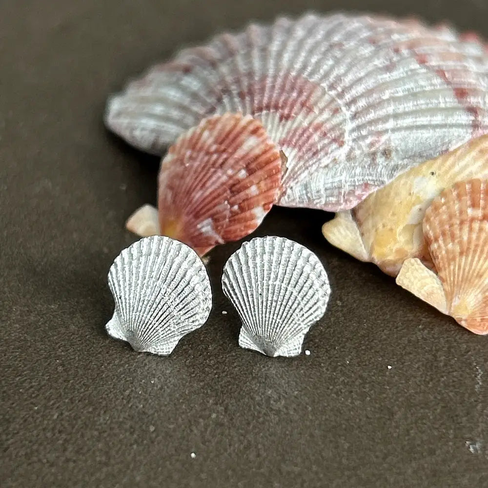 Silver Scallop Shell Earrings