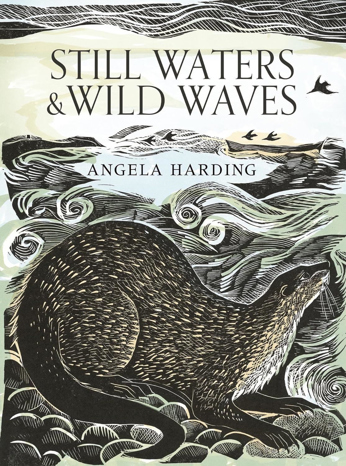 Still Waters And Wild Waves