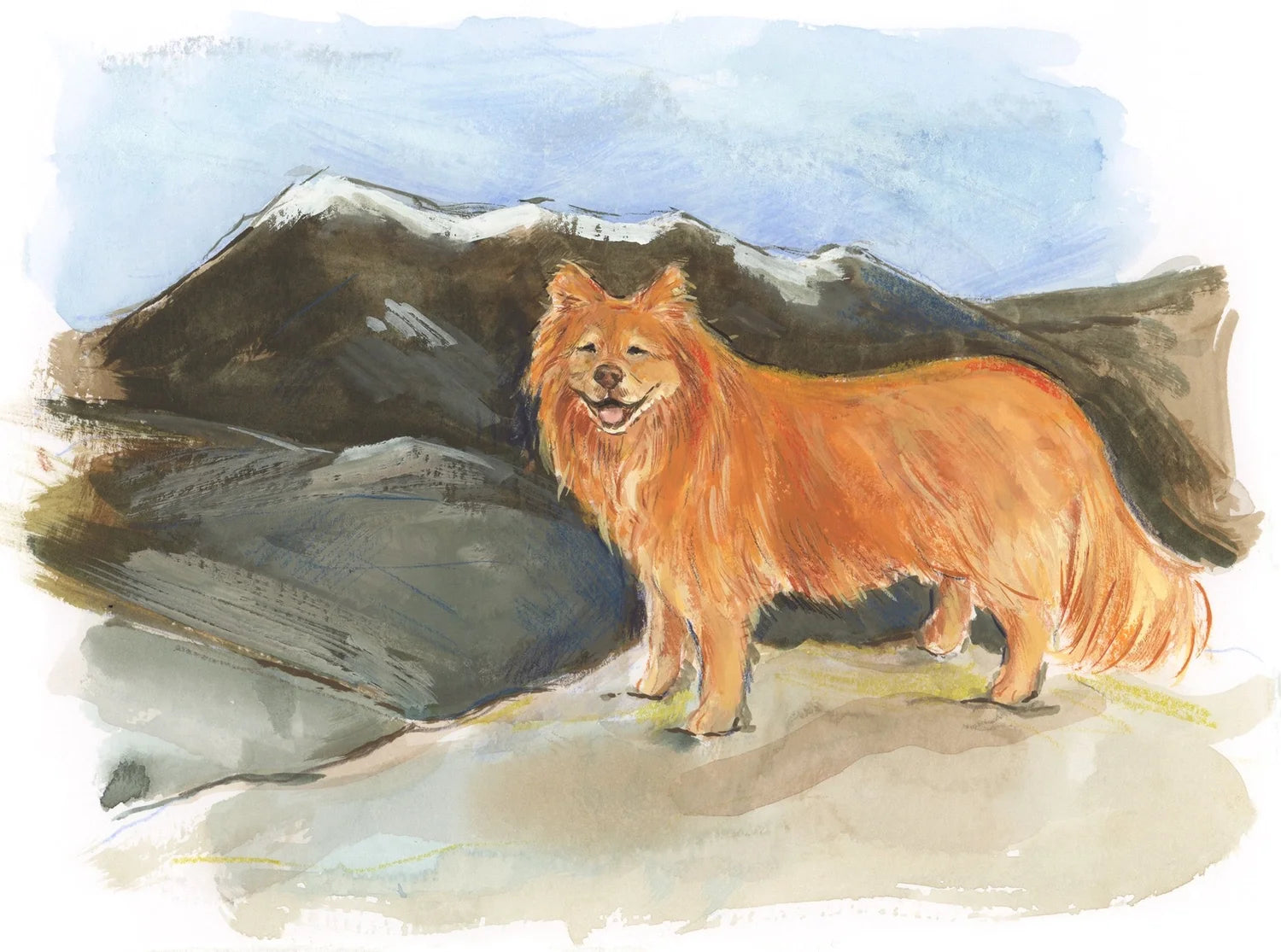 Adventure Dogs 2026 Calendar