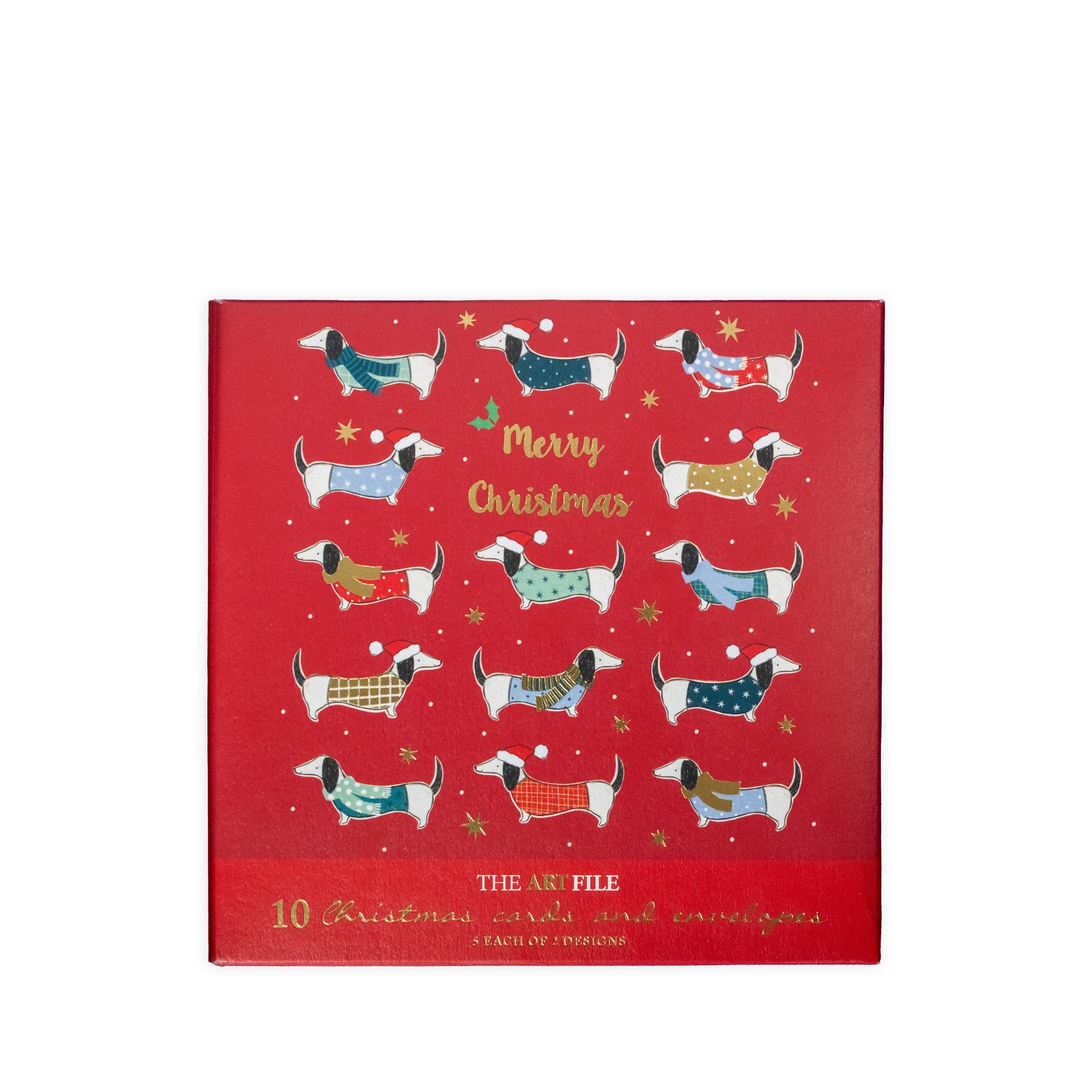 Pack Of 10 Christmas Cards - Frank