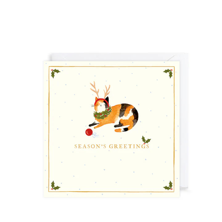 Pack Of 10 Christmas Cards - Santa Paws Cats