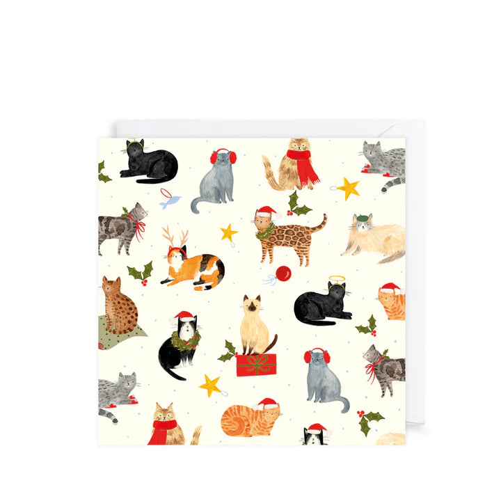 Pack Of 10 Christmas Cards - Santa Paws Cats