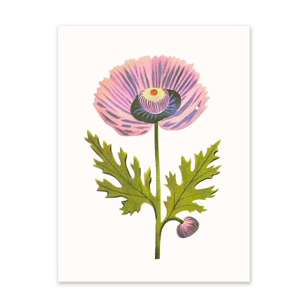 Purple Poppy 1 Riso Print