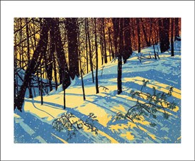 Sunshine Snowfall Blank Card