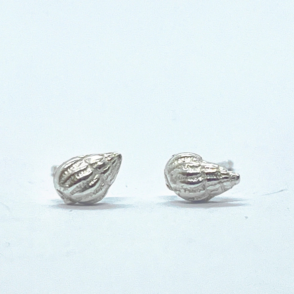 Silver Whelk Shell Earrings