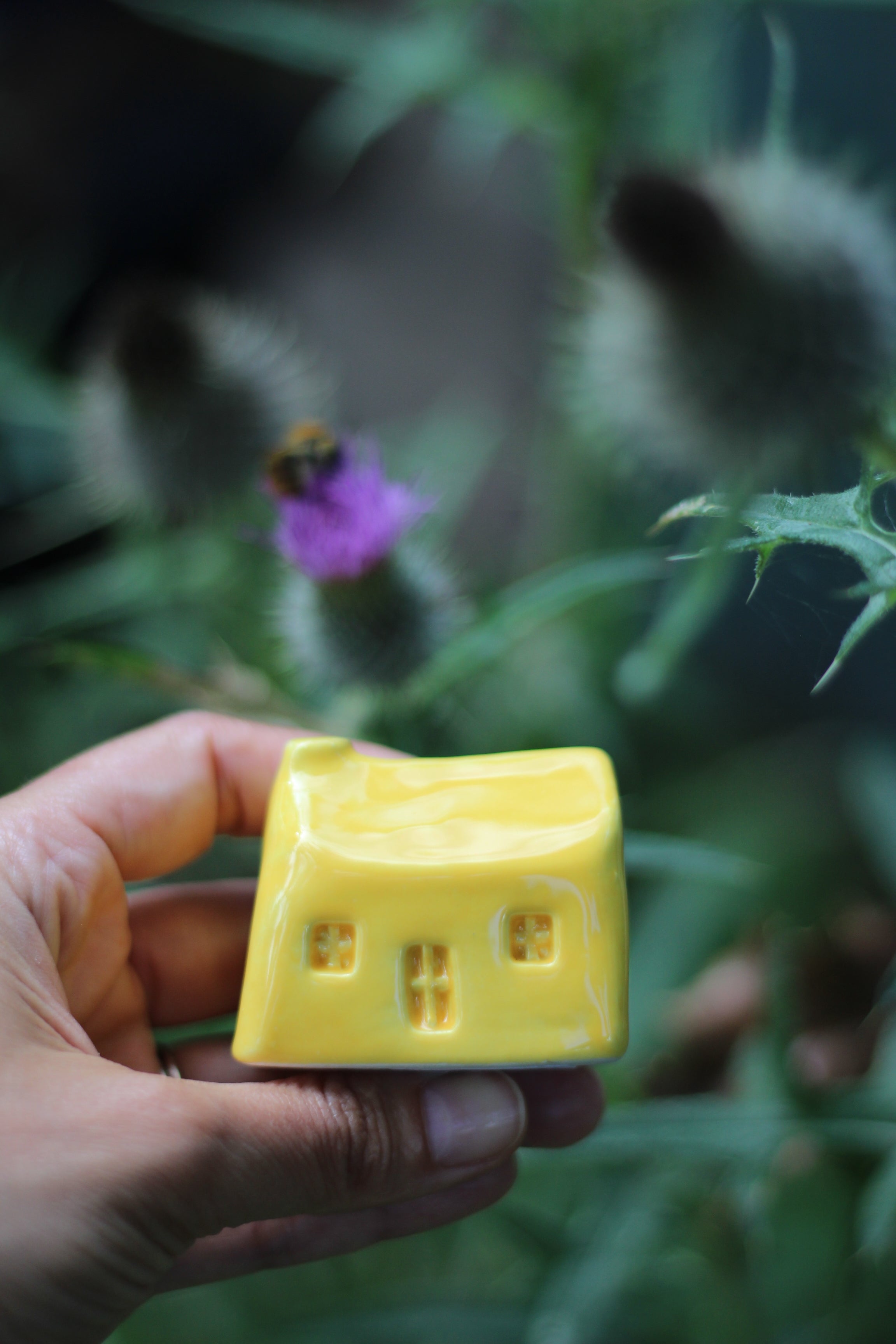 Hand holding a yellow ceramic bothy with a blurred thistle background