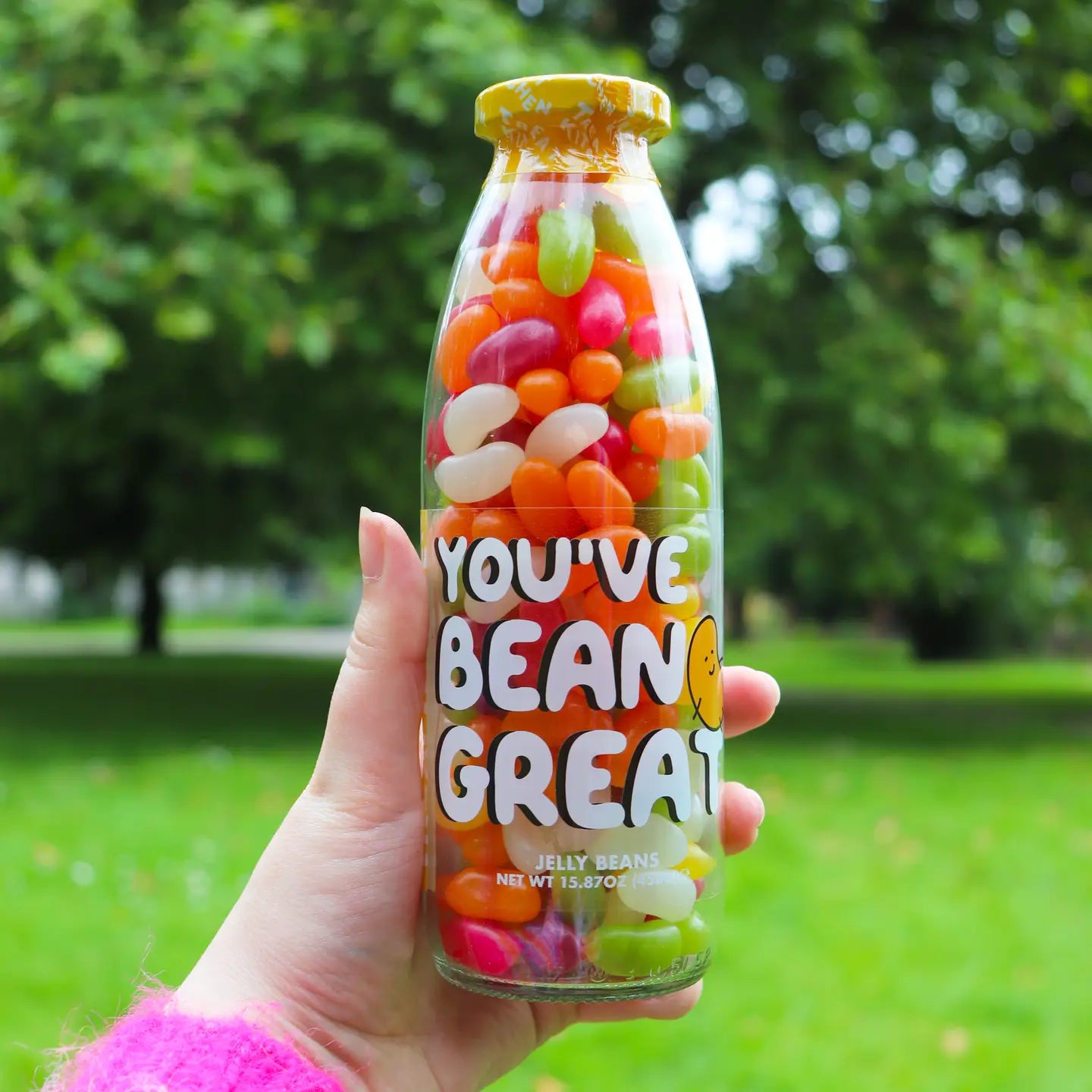 You've Bean Great! Vegan Jelly Beans Sweet Bottle