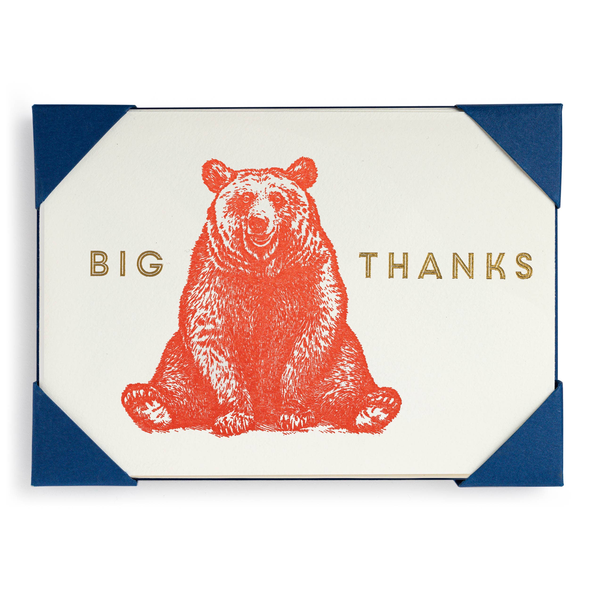 Pack Of Five Big Thanks Bear Cards