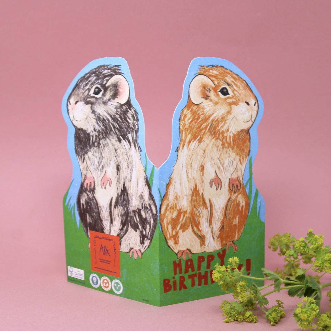 Guinea Pig Shaped Greetings Card