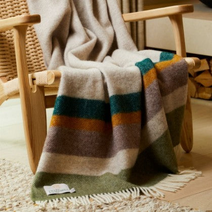 Alaska Earth Stripe Throw