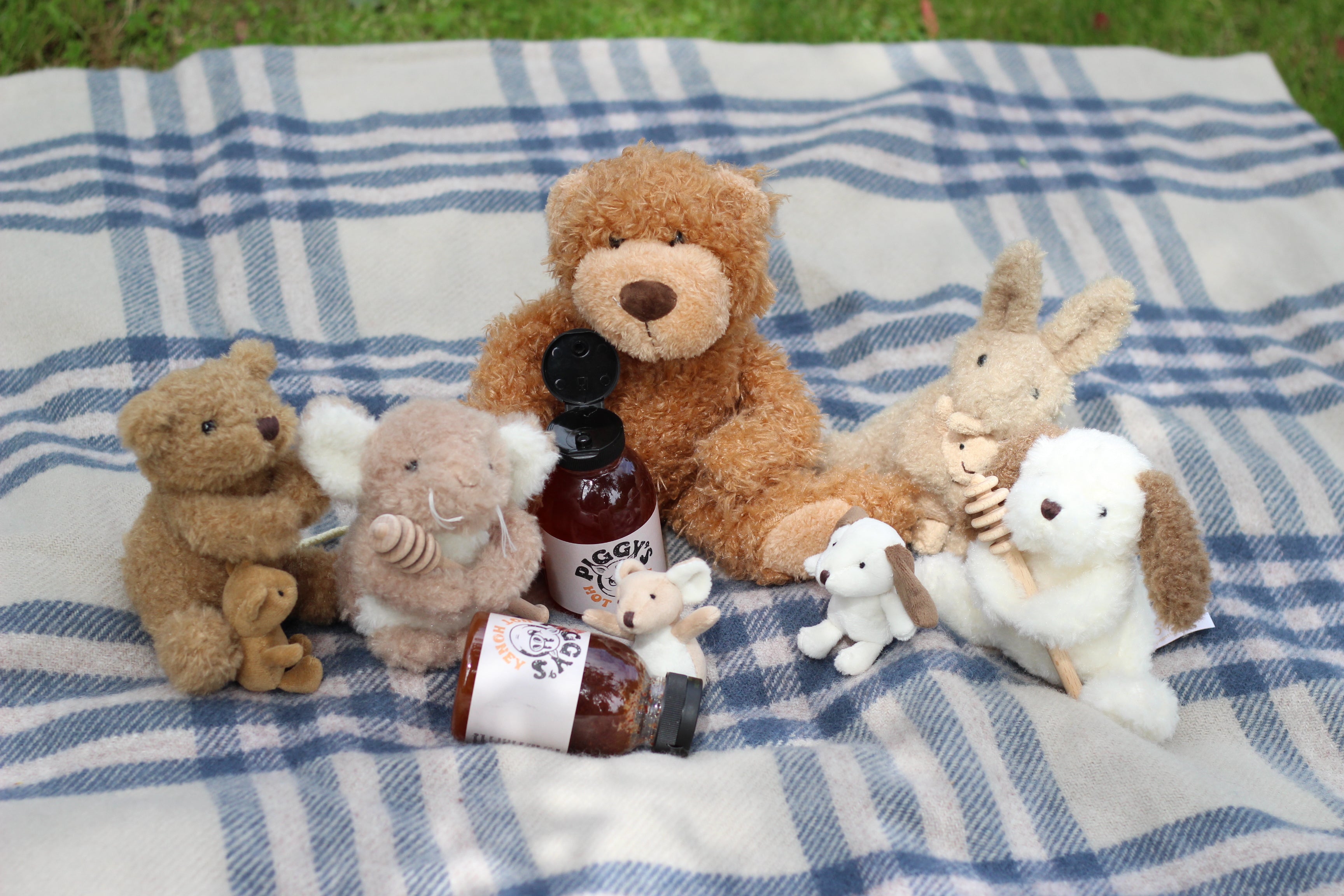 Collection of stuffed animals and honey bottles on a blue and white checkered blanket