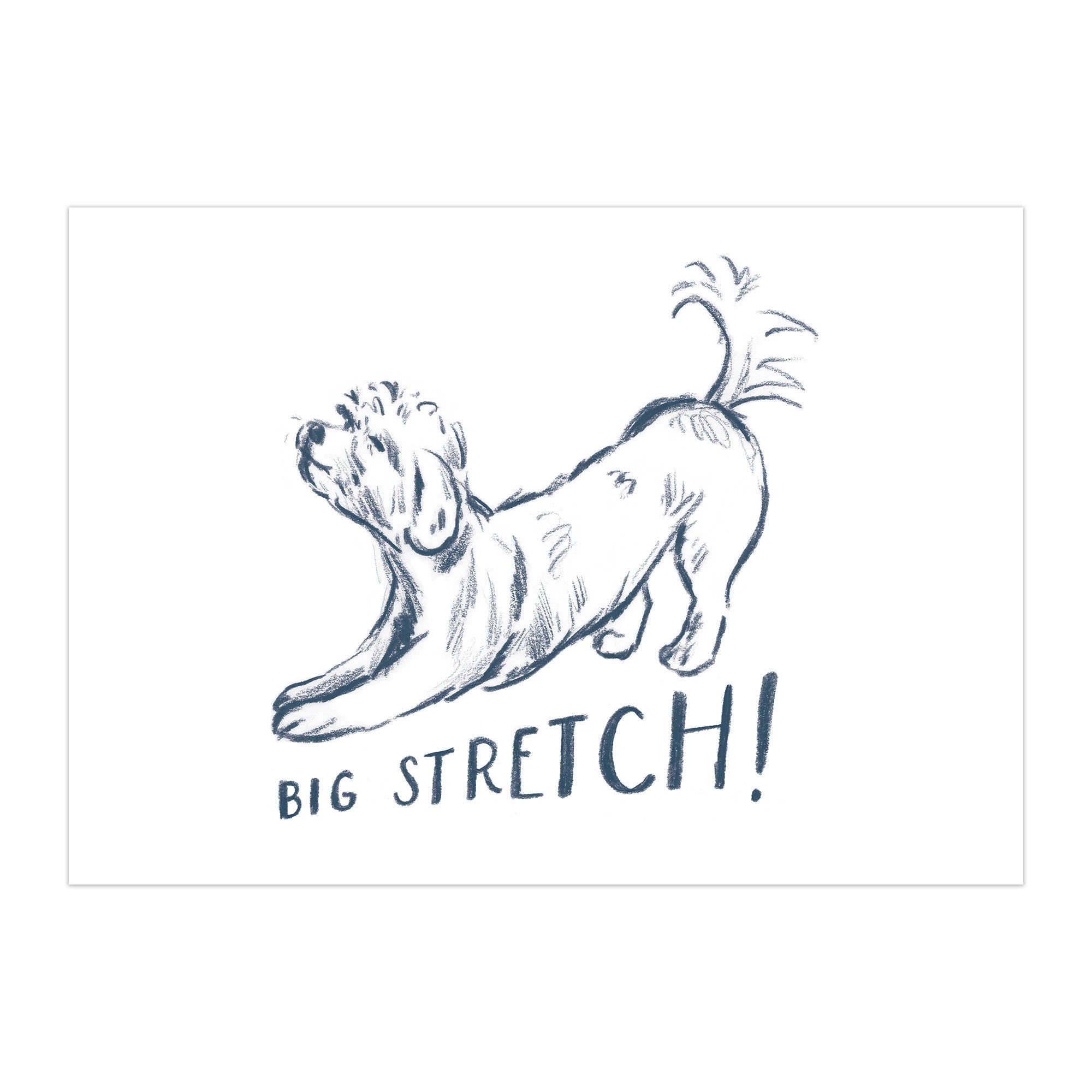 Big Stretch Postcard