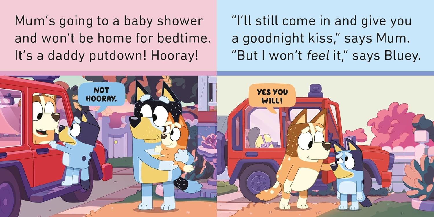 Bluey Bedtime Little Library