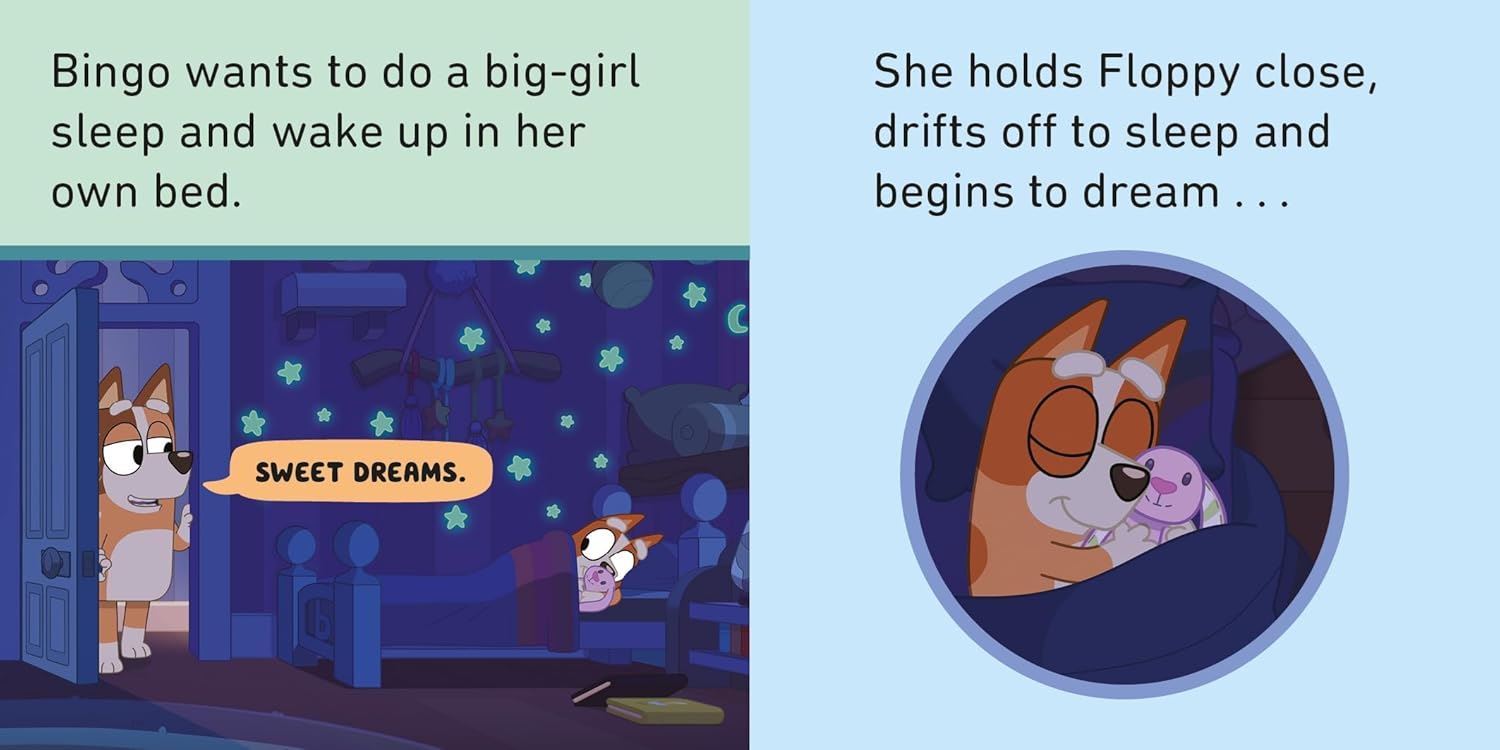 Bluey Bedtime Little Library