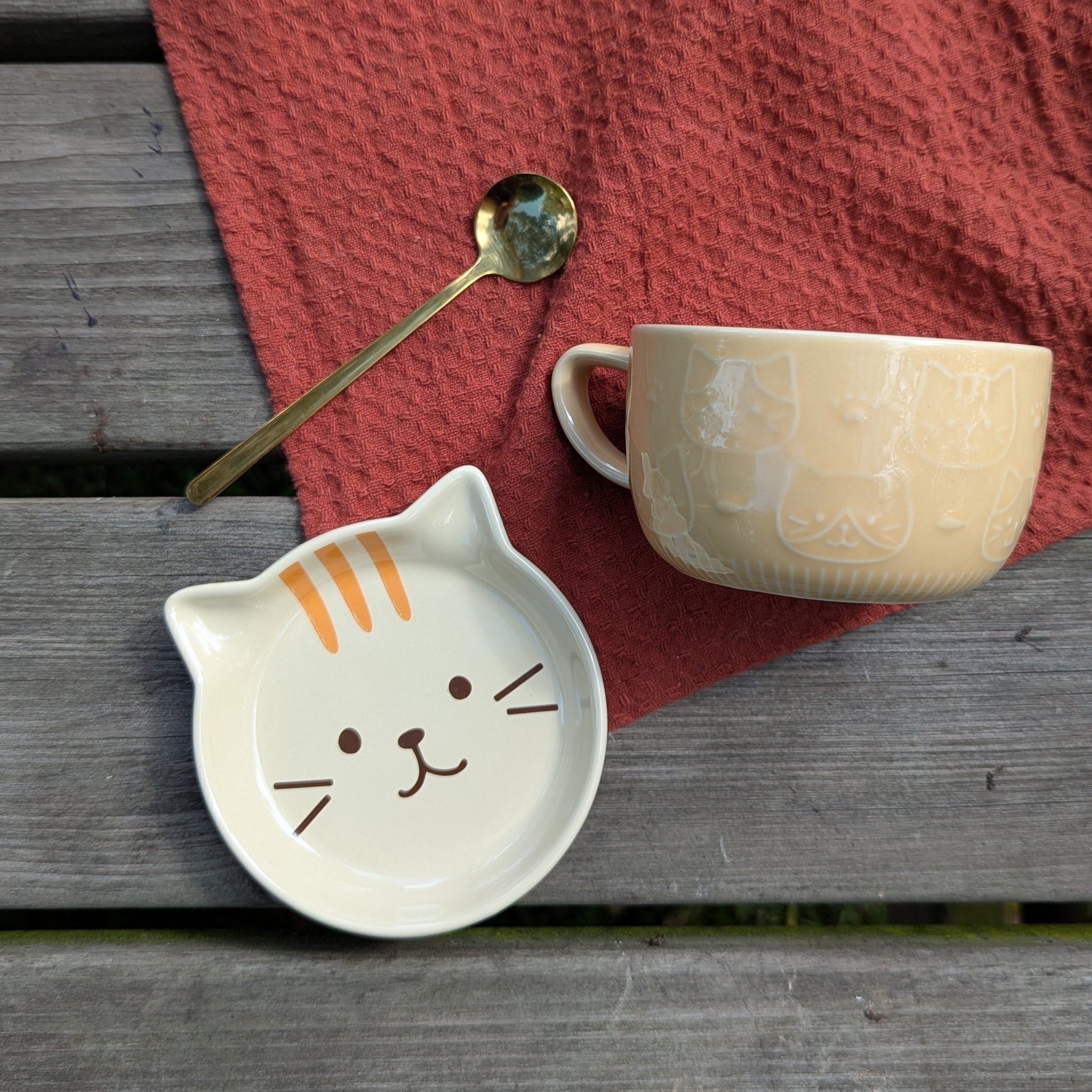 textured cat dish and a plate with cat face with spoon on wooden background 