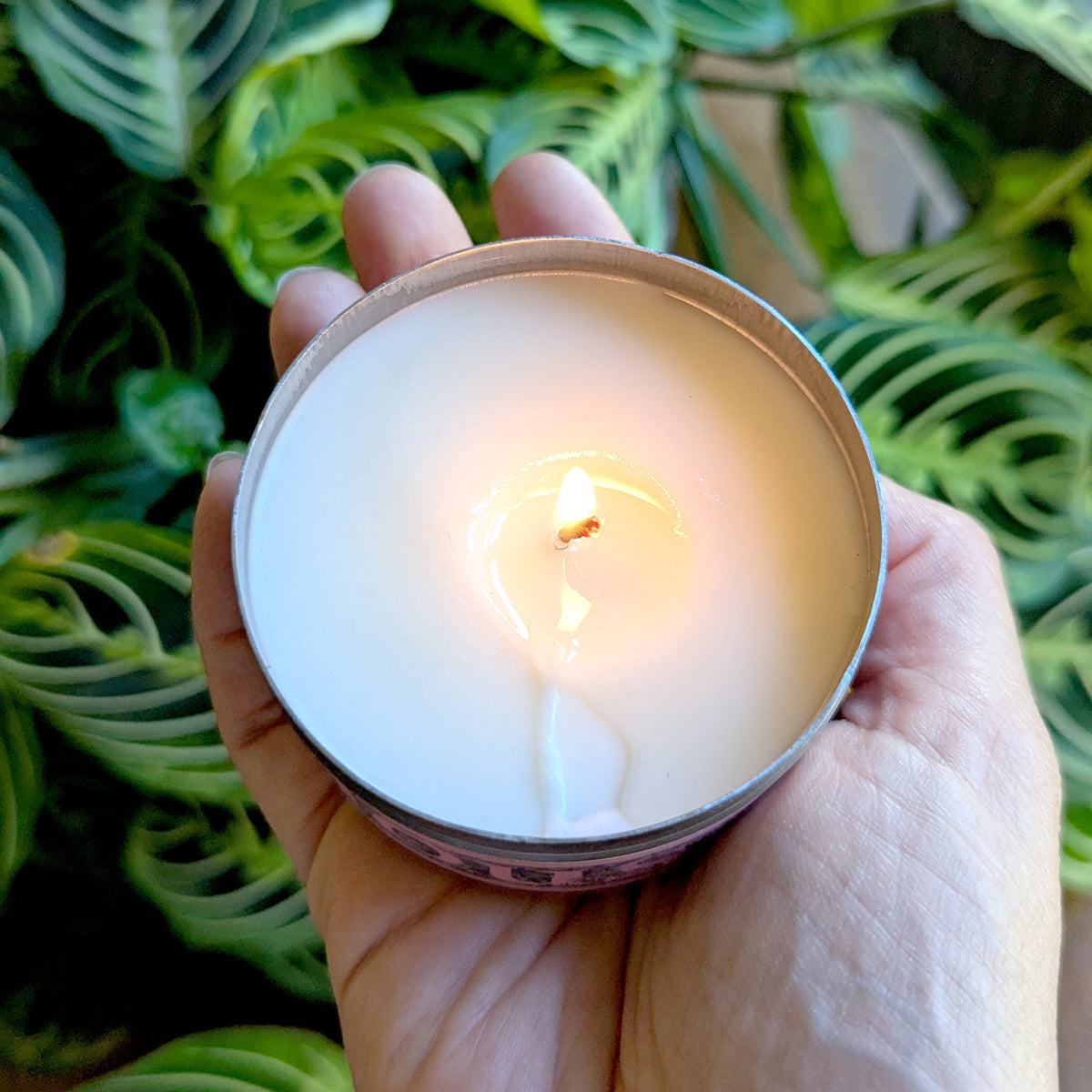 A hand holding a lit white candle in a round metal tin, with green patterned houseplant leaves in the background.