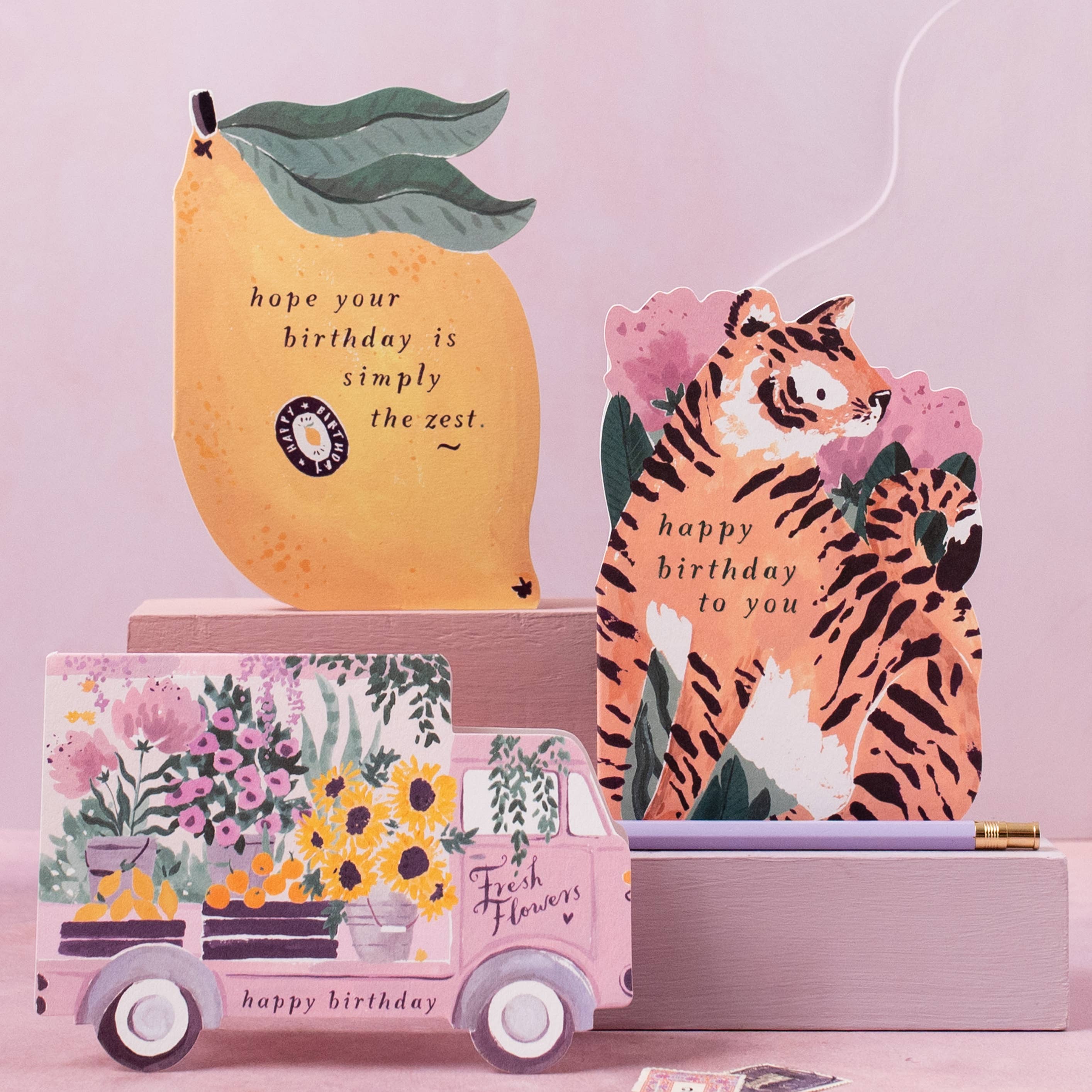 Tiger Die-Cut Birthday Cards | Tiger Cards | Animal Cards | Cards