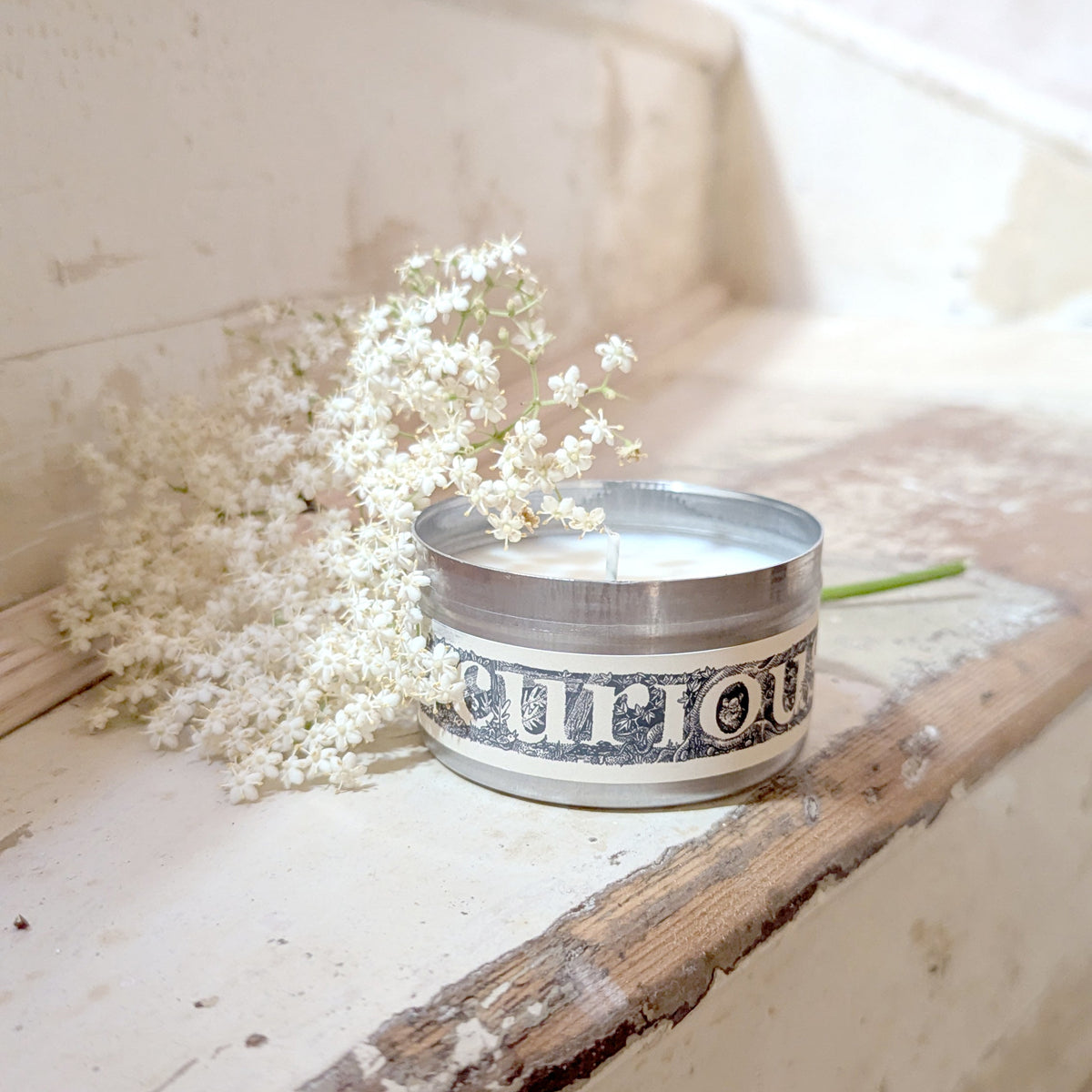 A silver tin candle with a black and white label reading 'curiouser' sits on a weathered cream-colored wooden ledge next to white elder flowers.