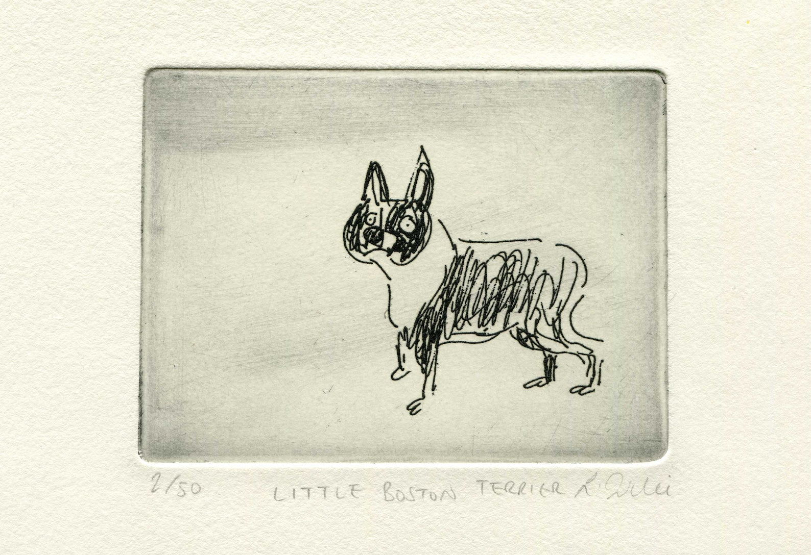 Little Boston Terrier Etching Print