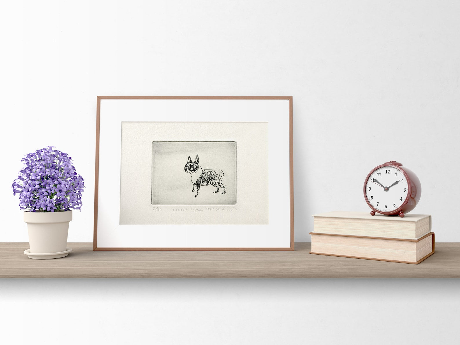 Little Boston Terrier Etching Print