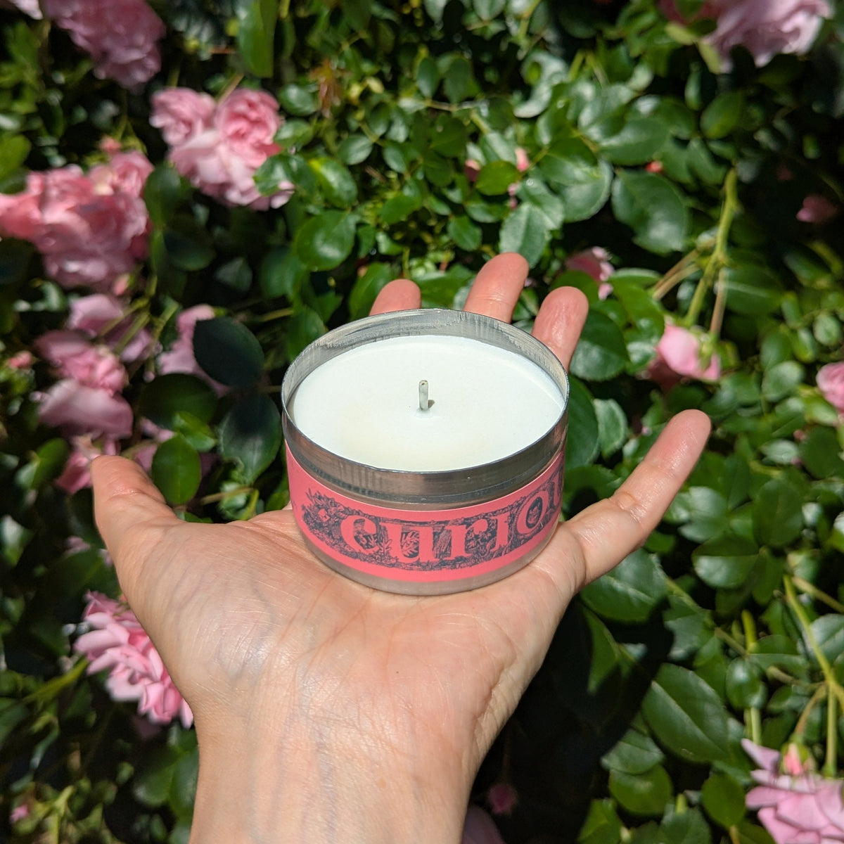 A hand holding a small round tin candle with white wax in front of a background of green leaves and pink flowers. The candle tin has a pink label with dark lettering.