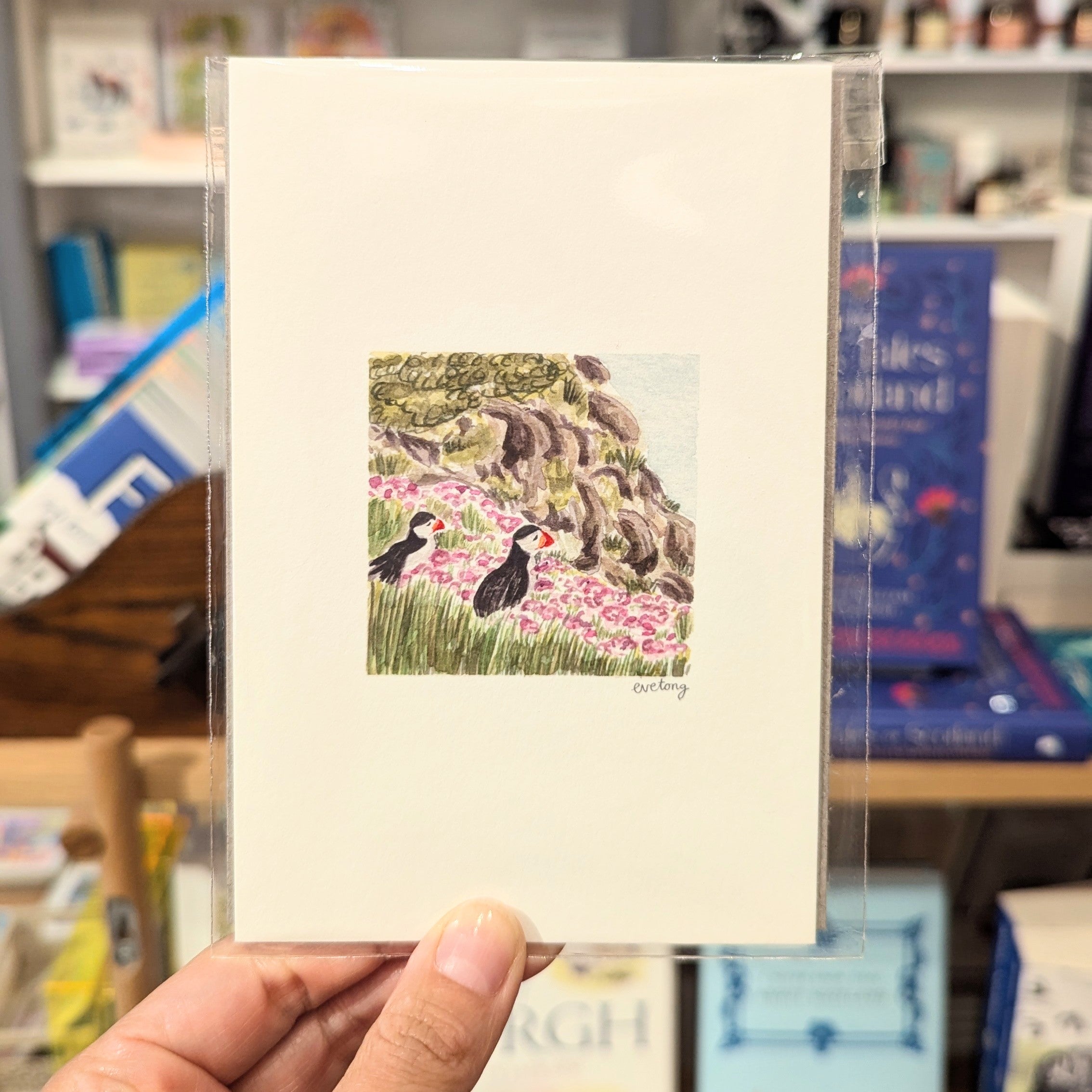 A6 Puffin On A Cliff Print
