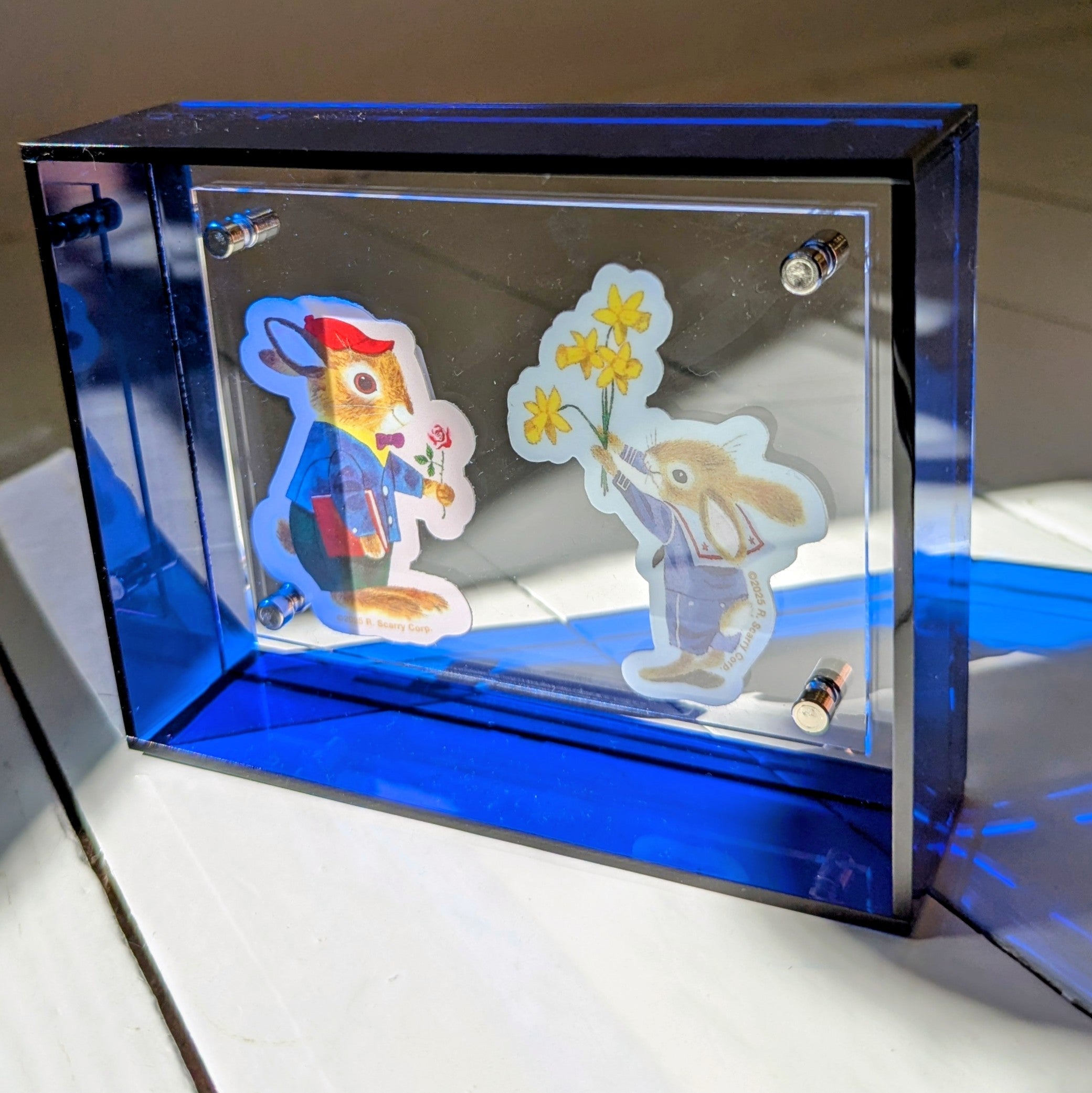 Extra Small Blue Acrylic Frame