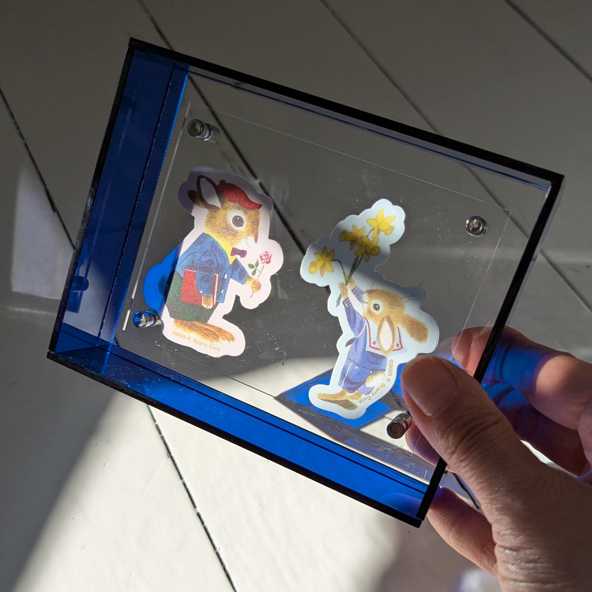 Extra Small Blue Acrylic Frame