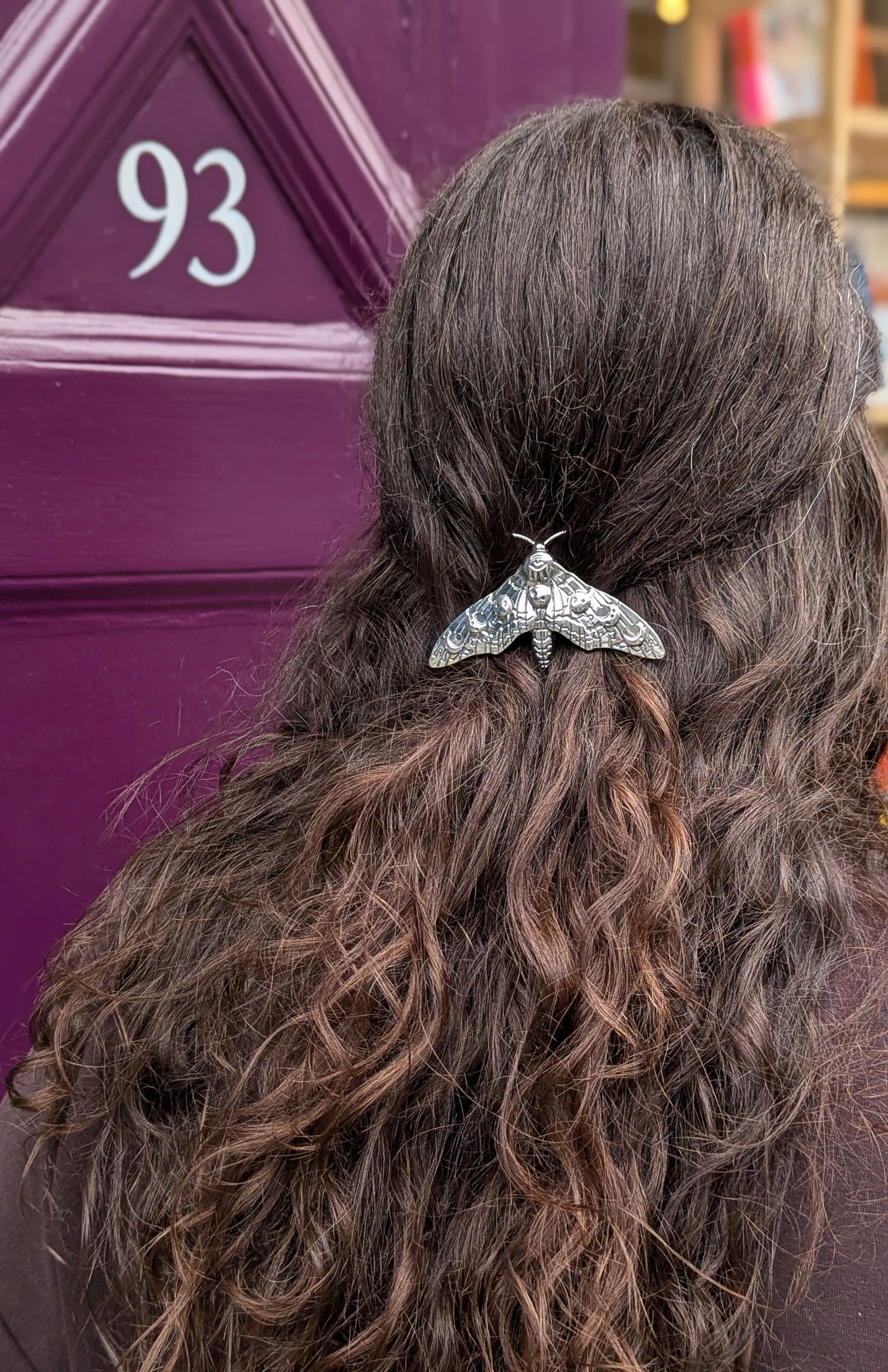 Moth Hair Clip