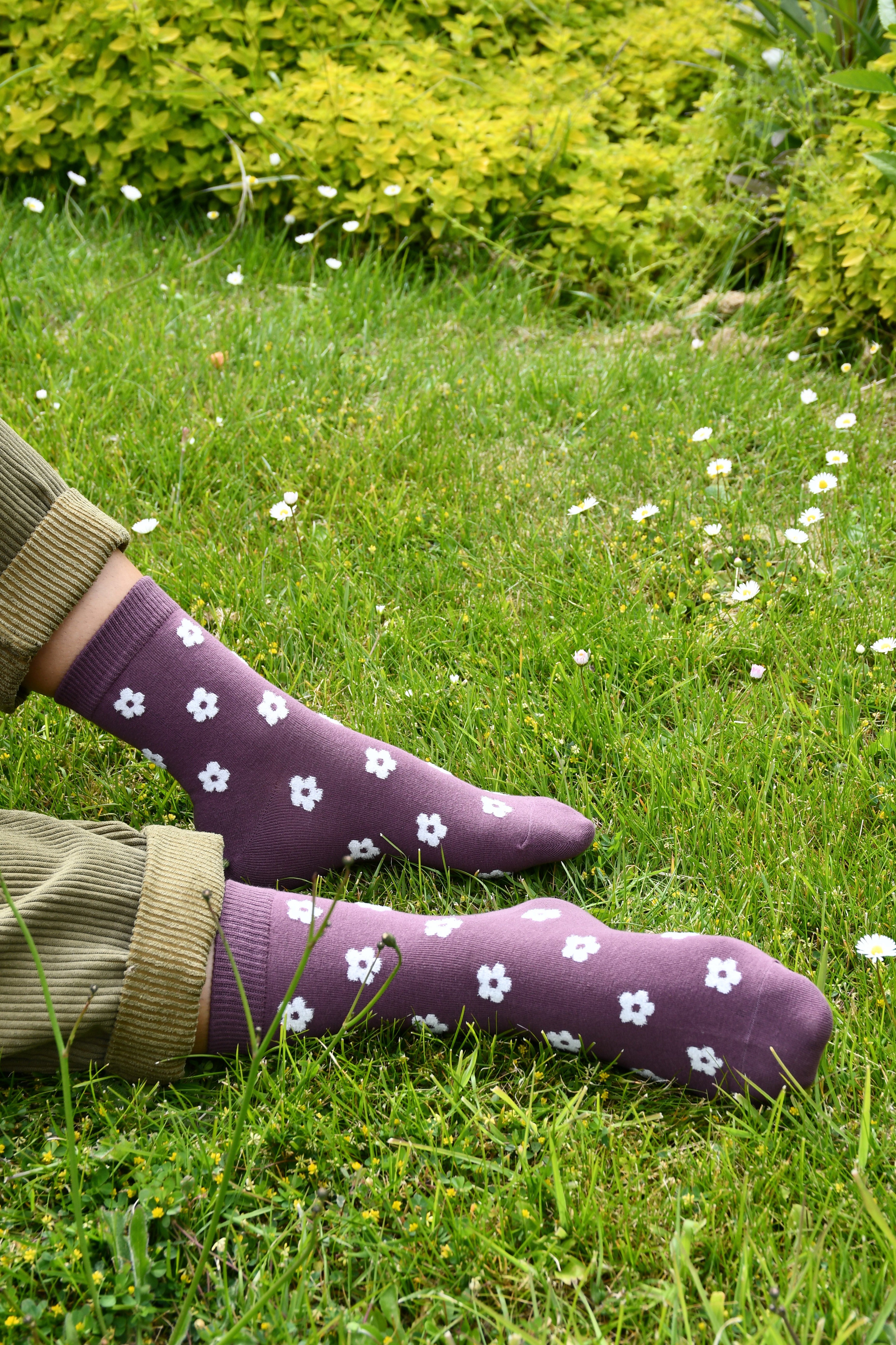 Daisy Socks