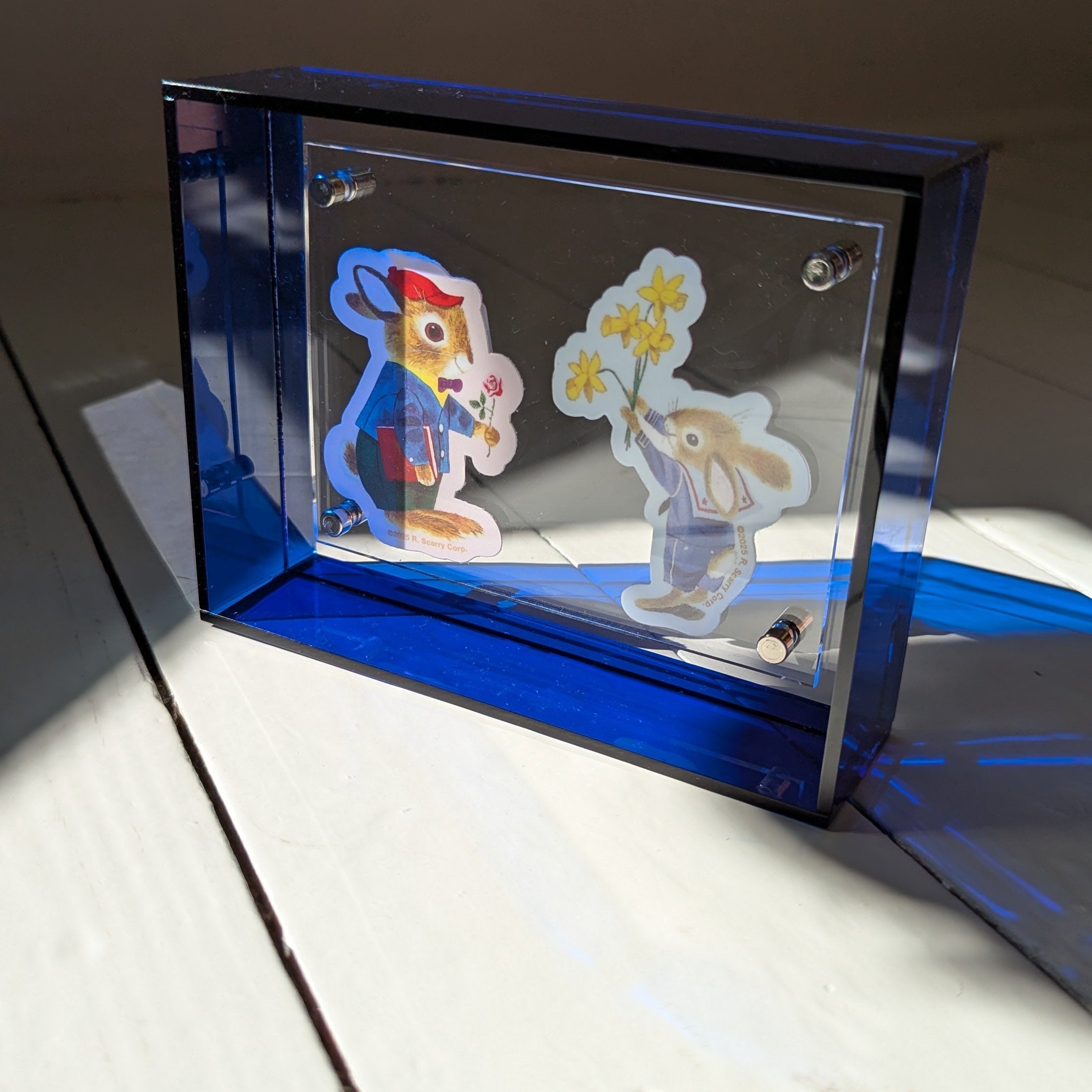 Extra Small Blue Acrylic Frame