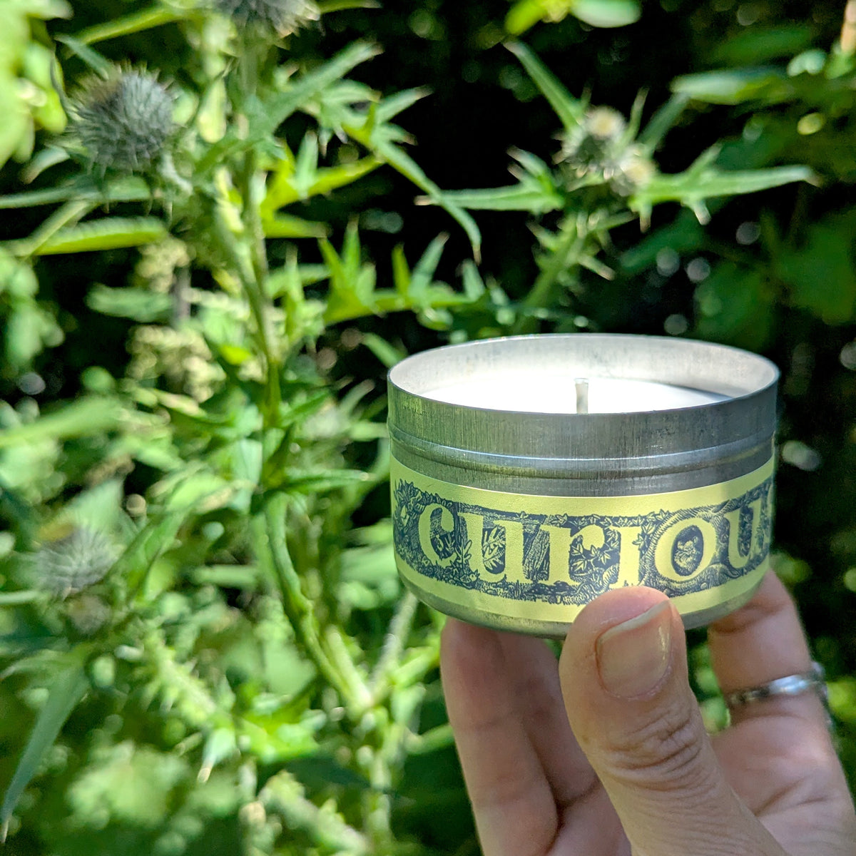 Scottish Hedgerow Curiouser Candle