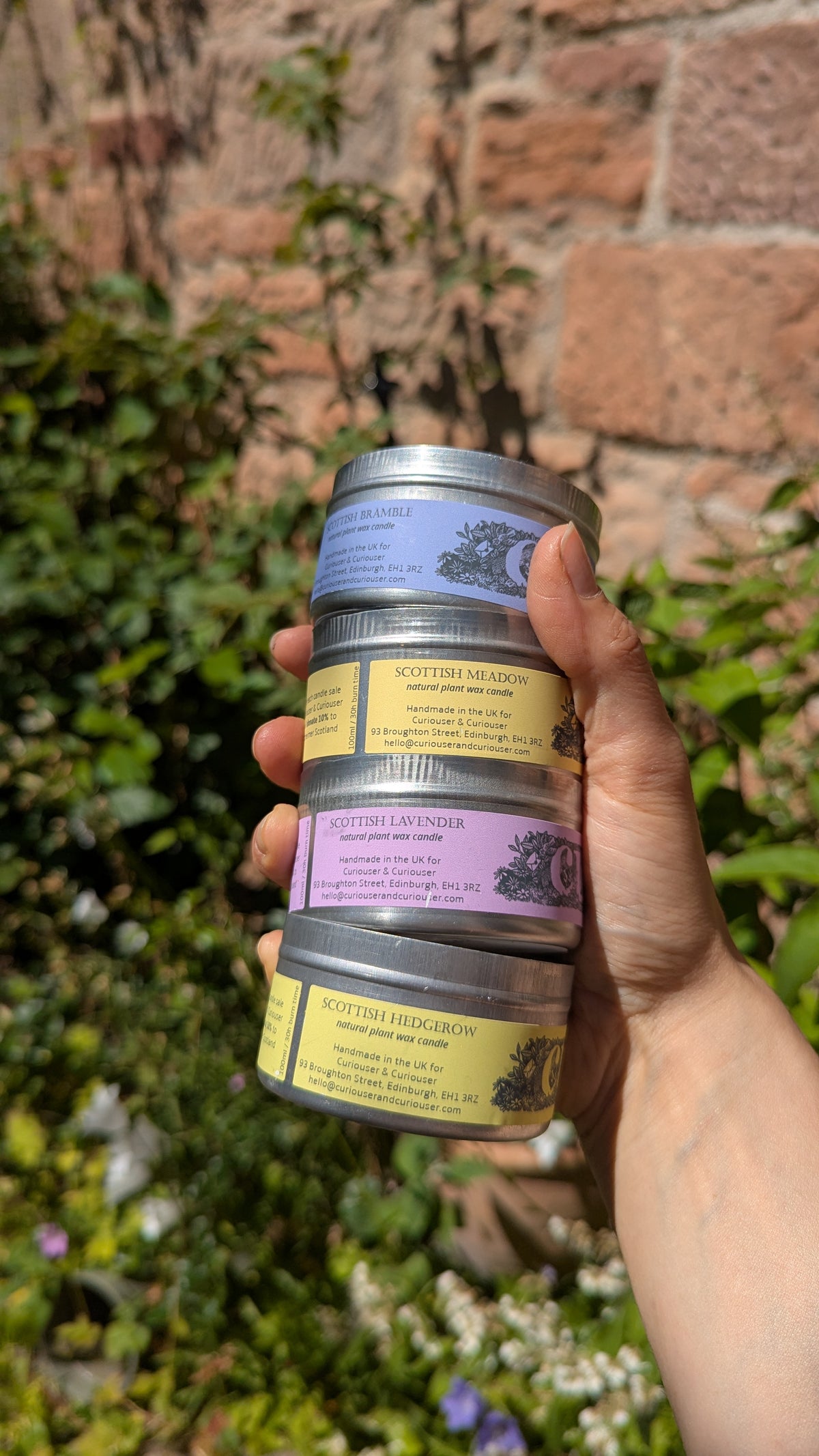 Scottish Bramble Curiouser Candle