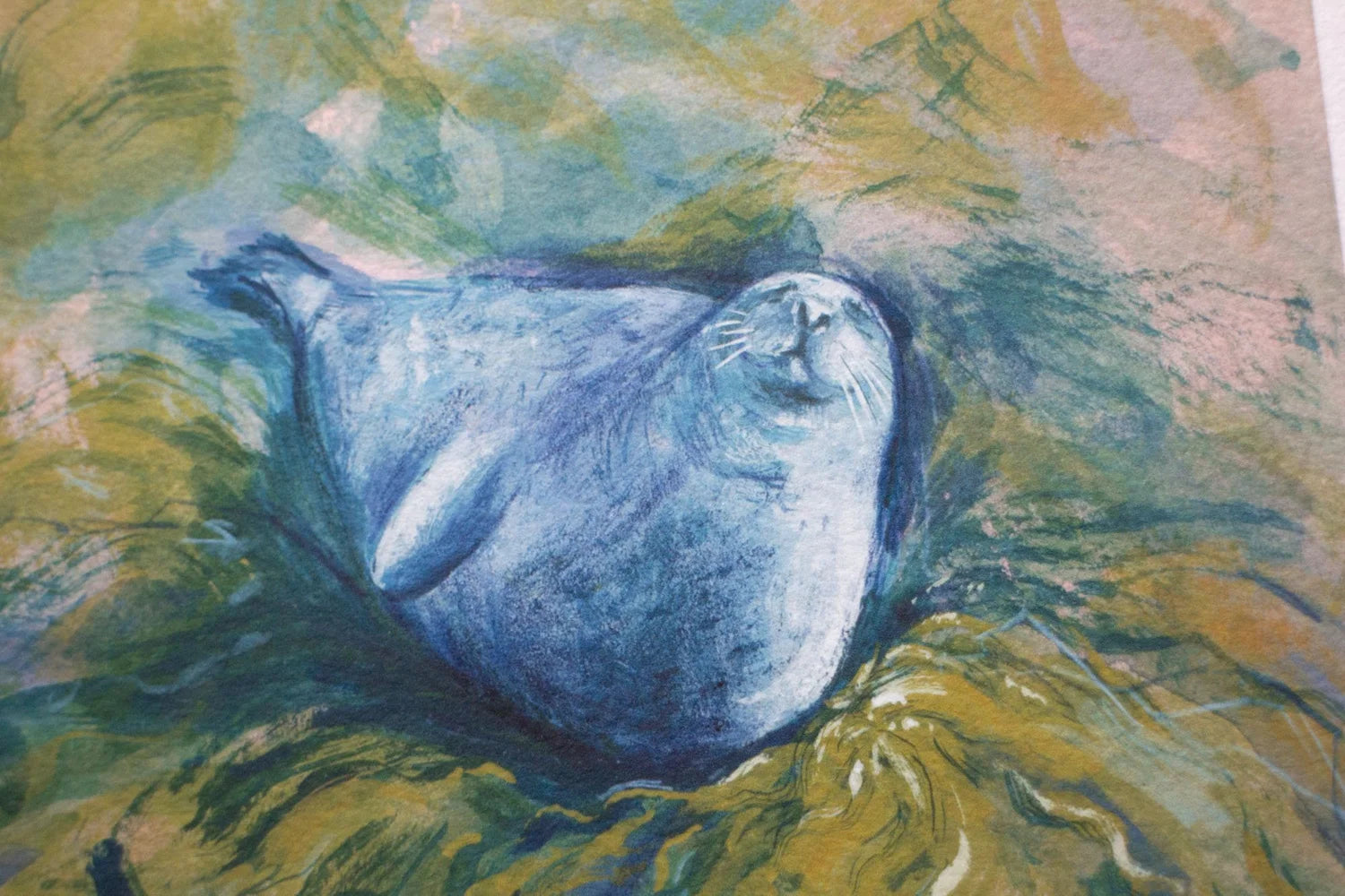 A5 Feel The Sun On Your Whiskers Art Print