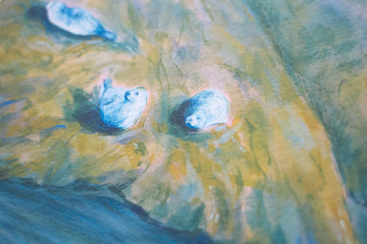 A5 Seal On The Seaweed Rocks Art Print