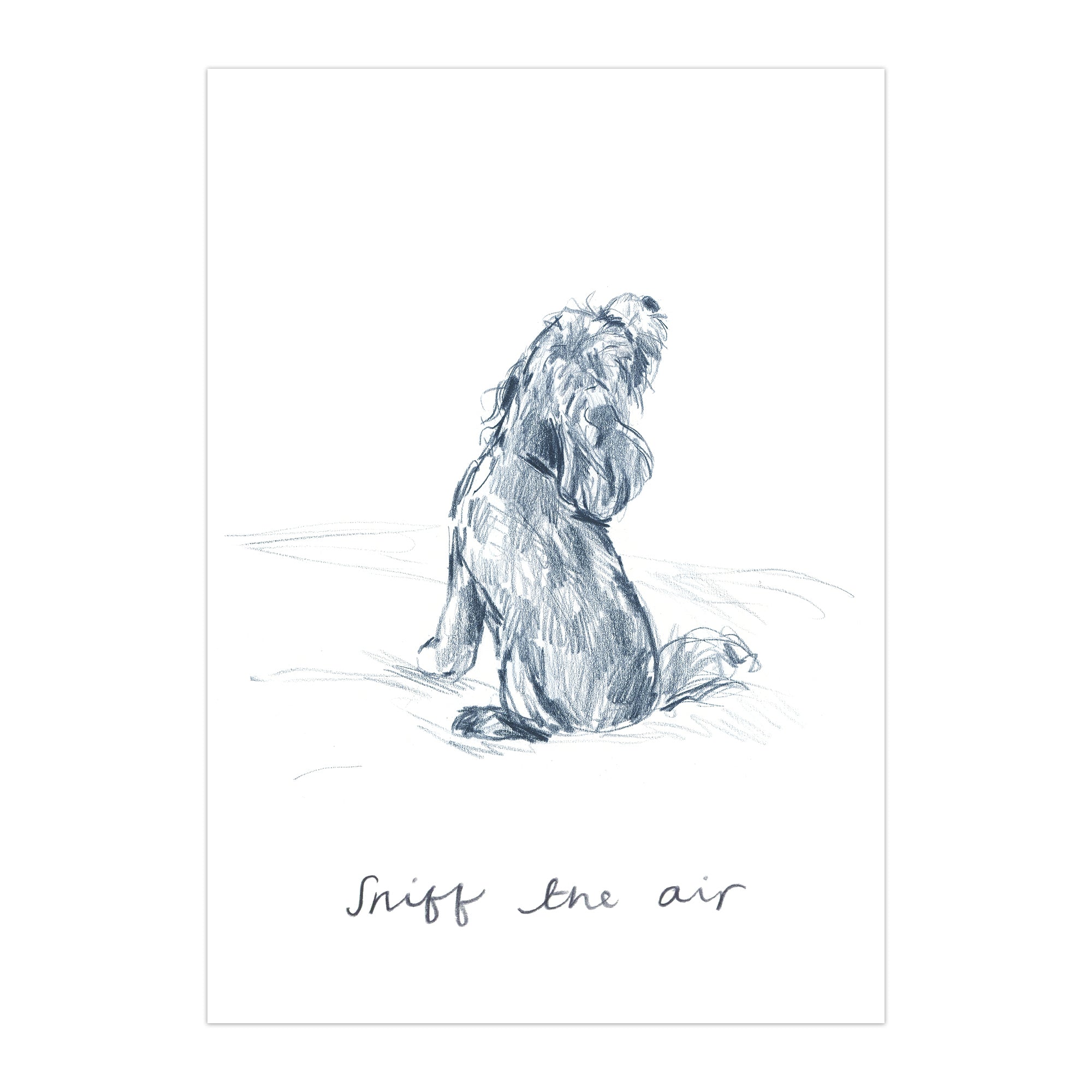 Sniff The Air Postcard