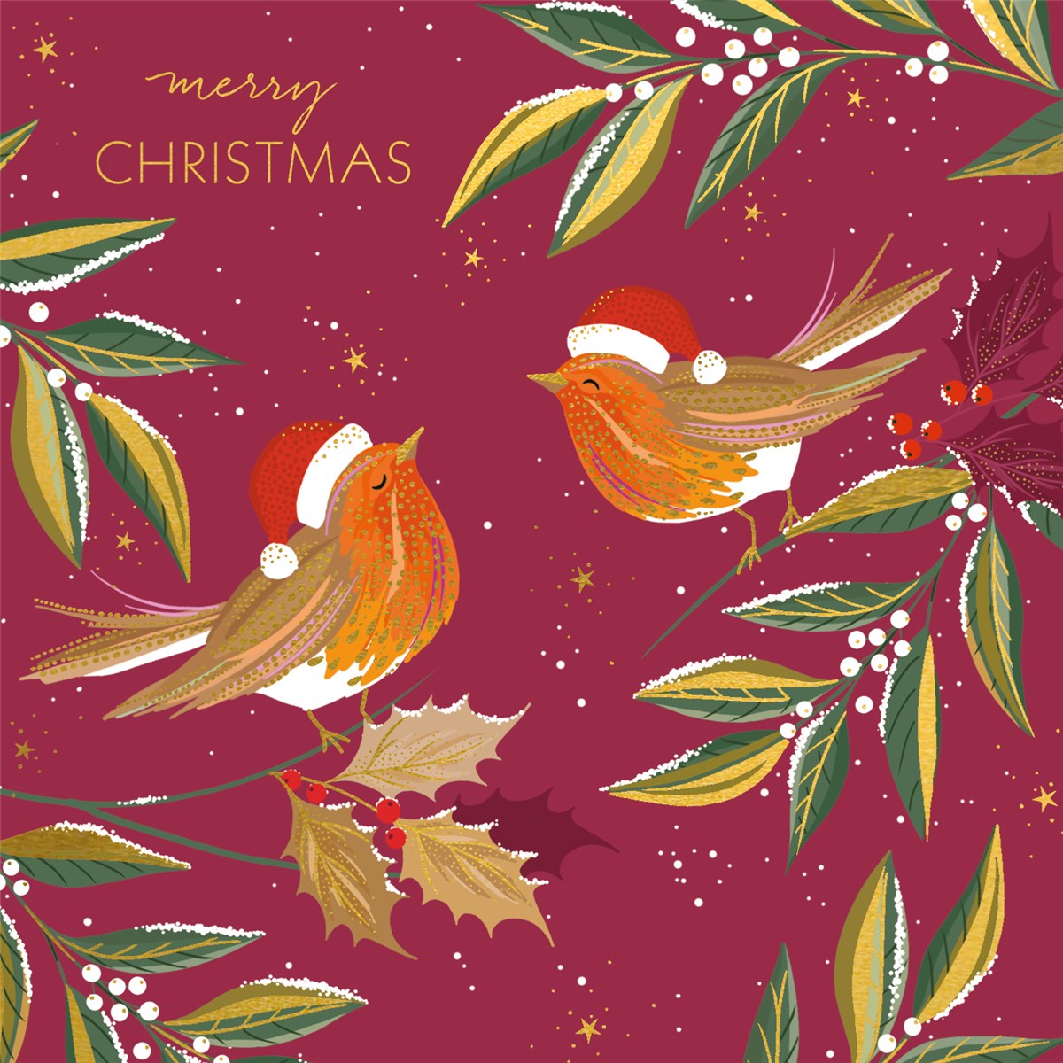 Pack Of 10 Christmas Cards - Robin Chorus