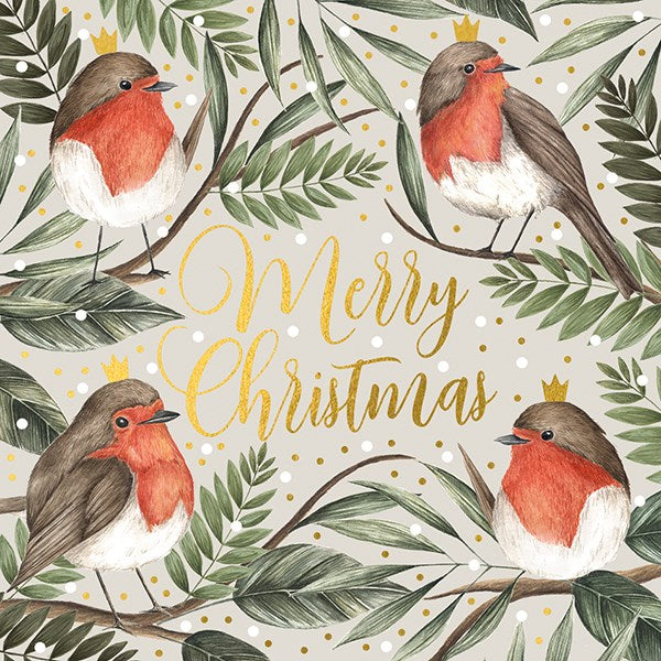 Pack Of 10 Christmas Cards - Robins