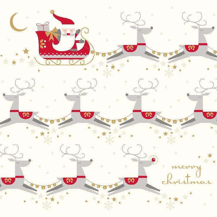 Pack of 6 Christmas Cards - Santa & Reindeer